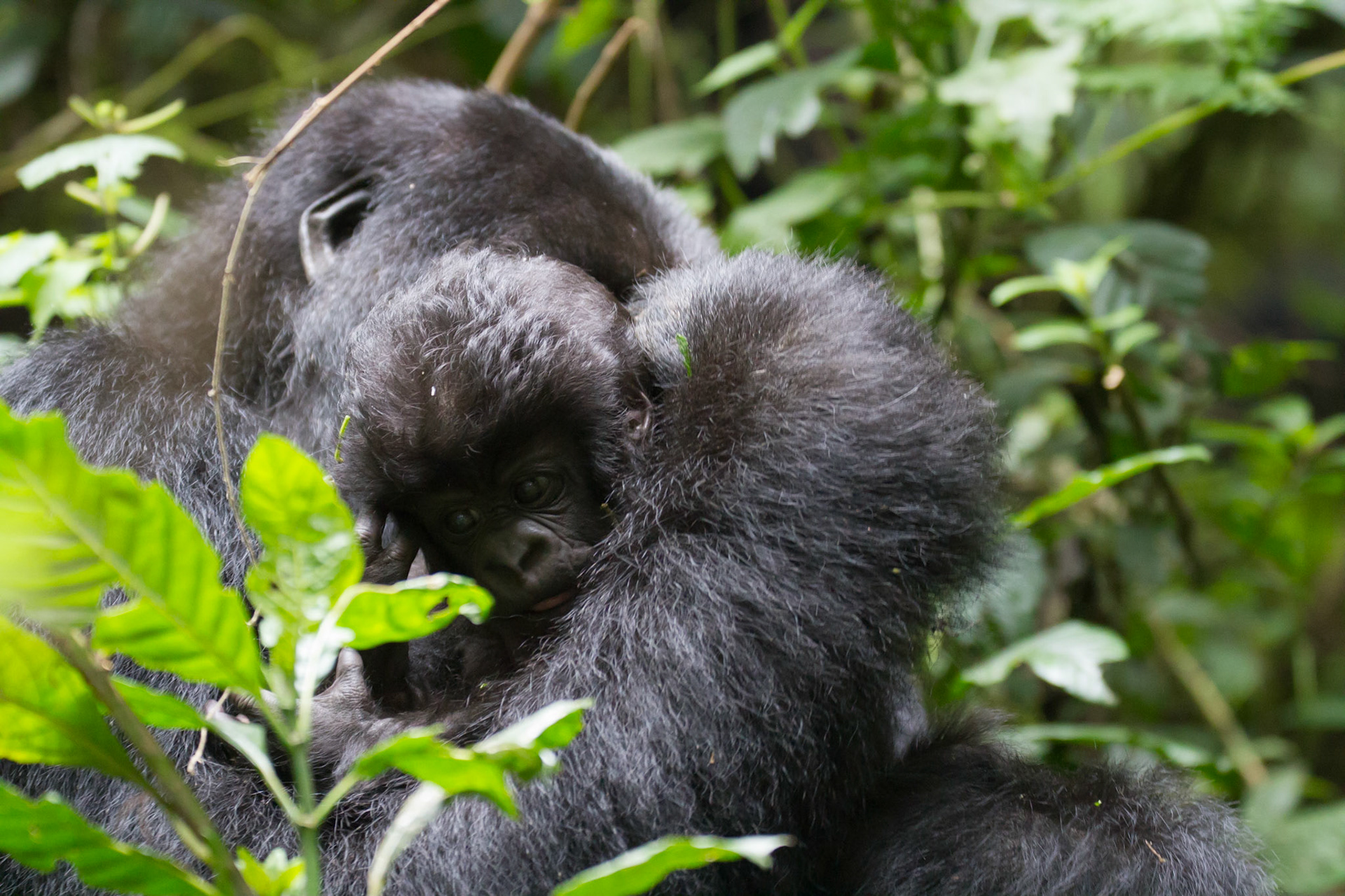 Mother with 6 week old baby