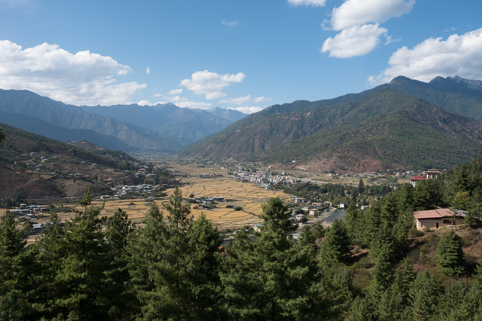 View from our room at Uma Paro