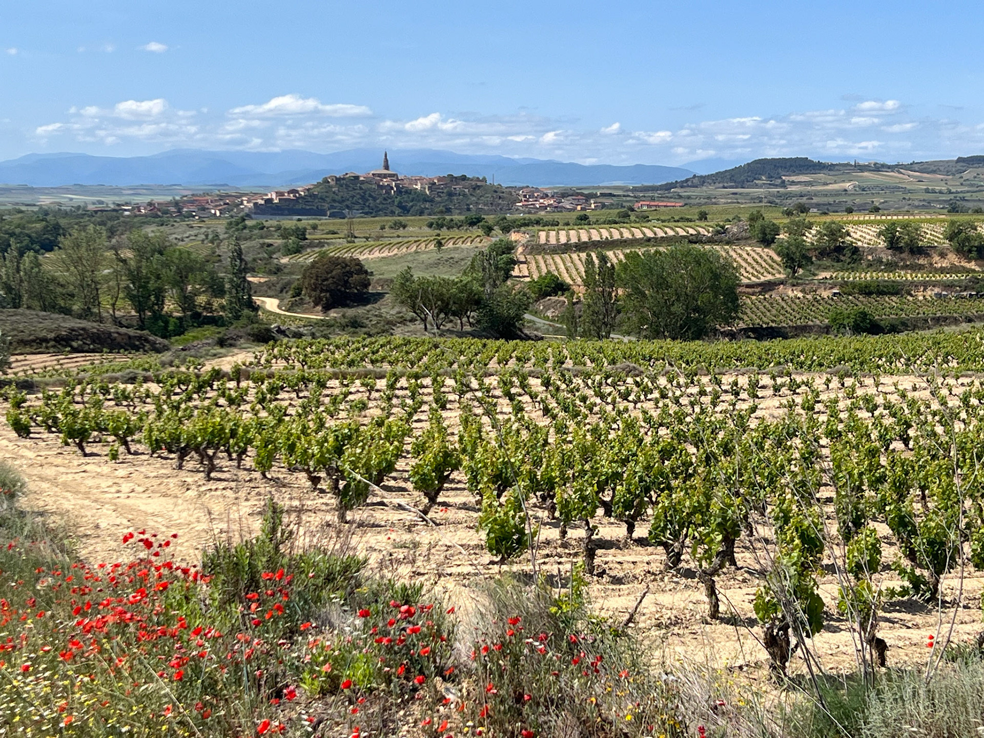 San Vicente de la Sonsierra