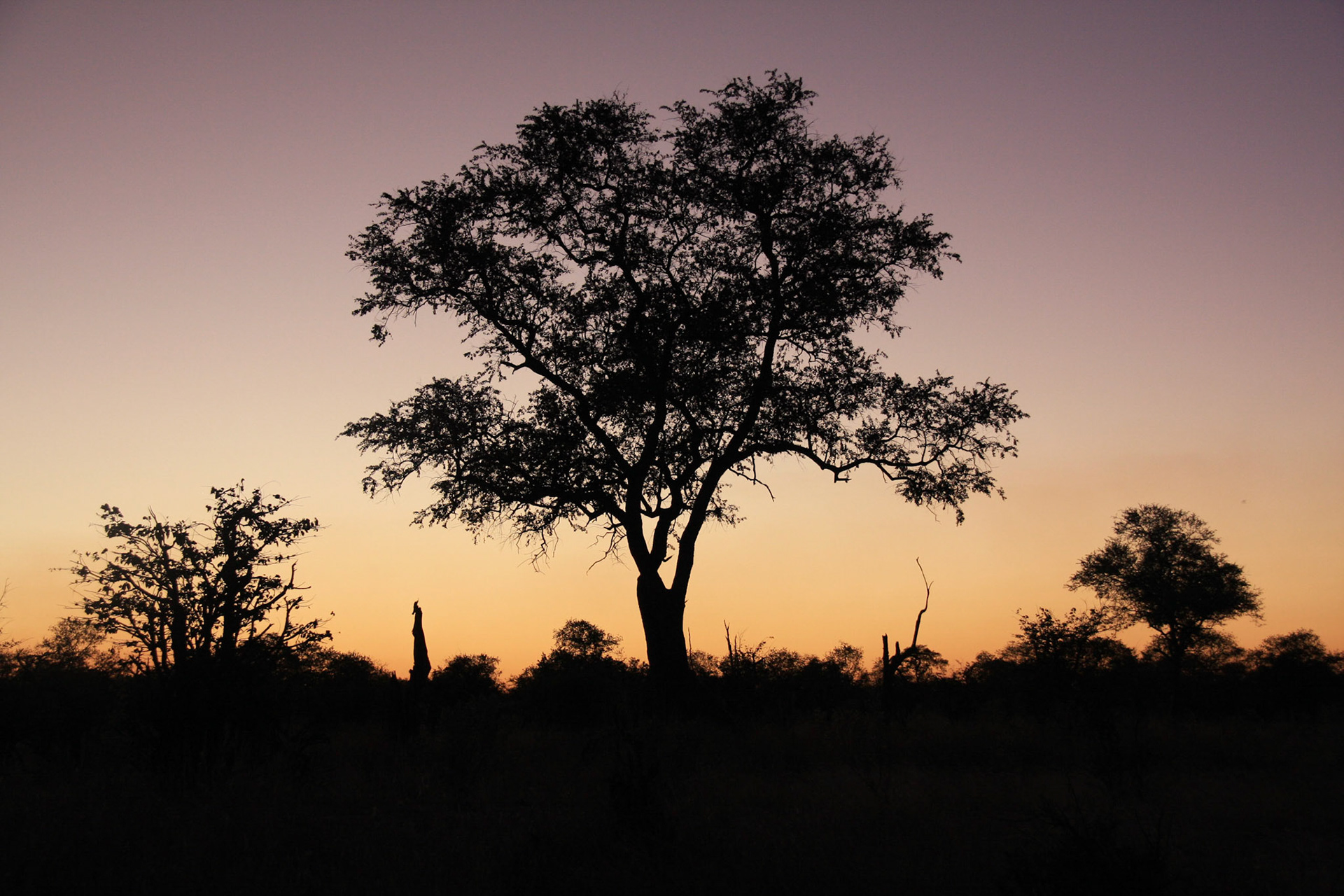 Sunset at Selinda