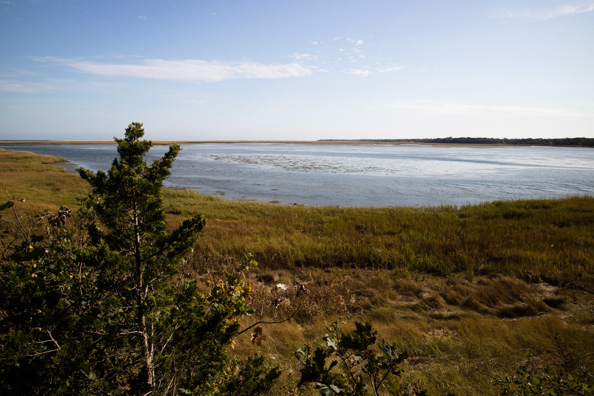 Nauset Salt Marsh from Salt Pond trail at National Seashore