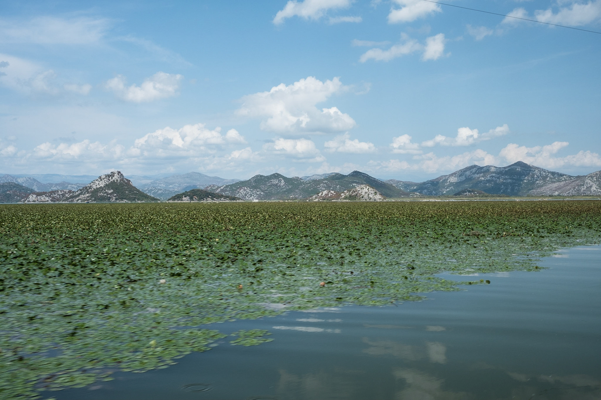 Lake Skadar