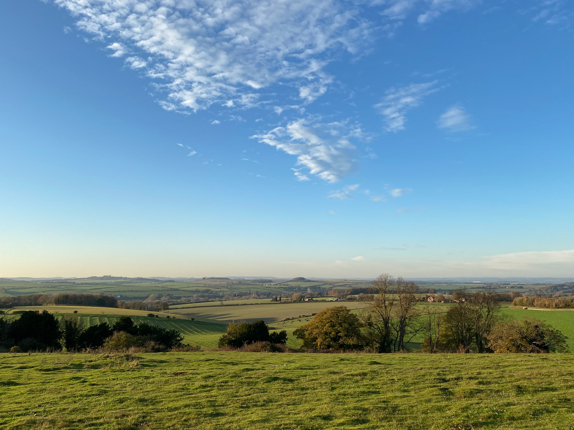 View from Stockbridge Down