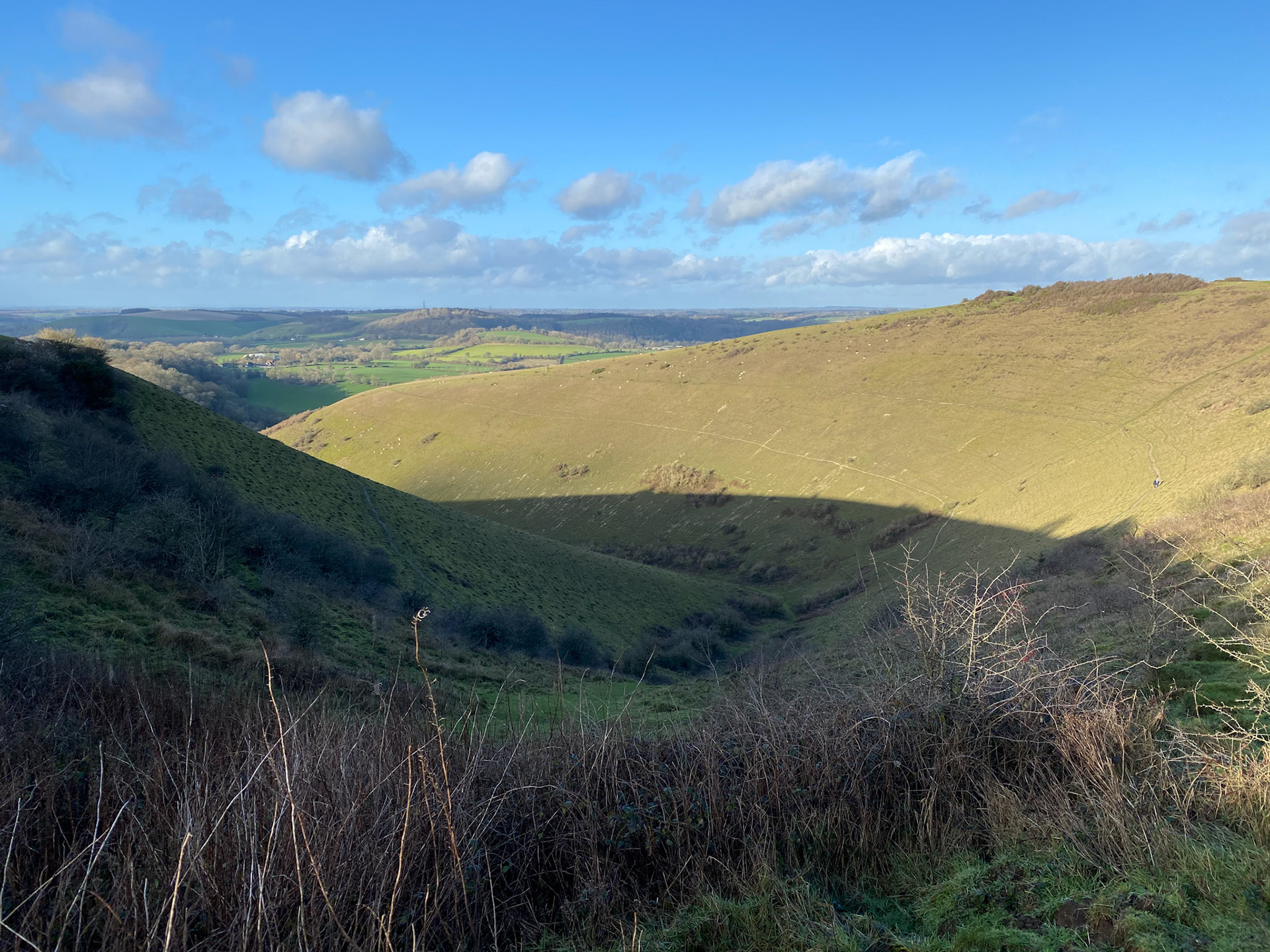 Butser Hill