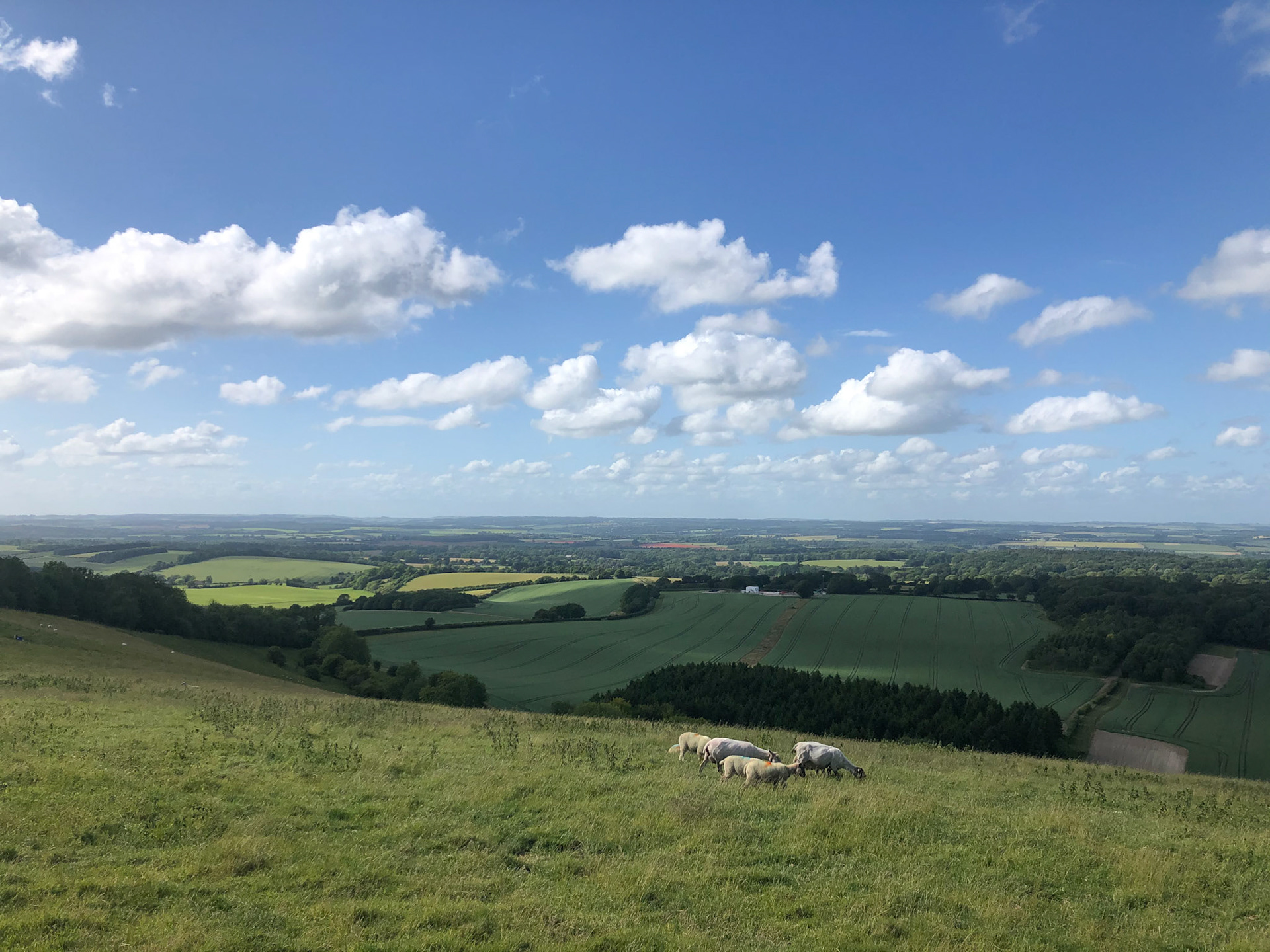 View of Berkshire, from Inkpen Hill