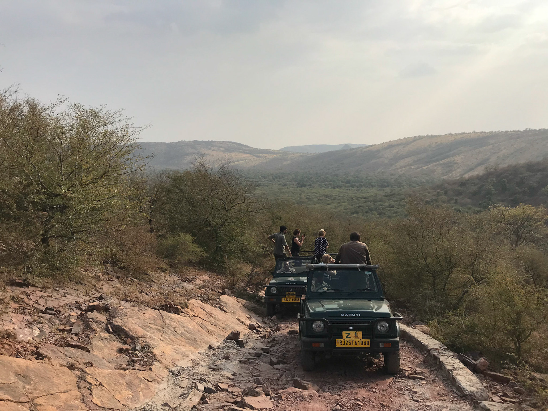 Ranthambore zone 6