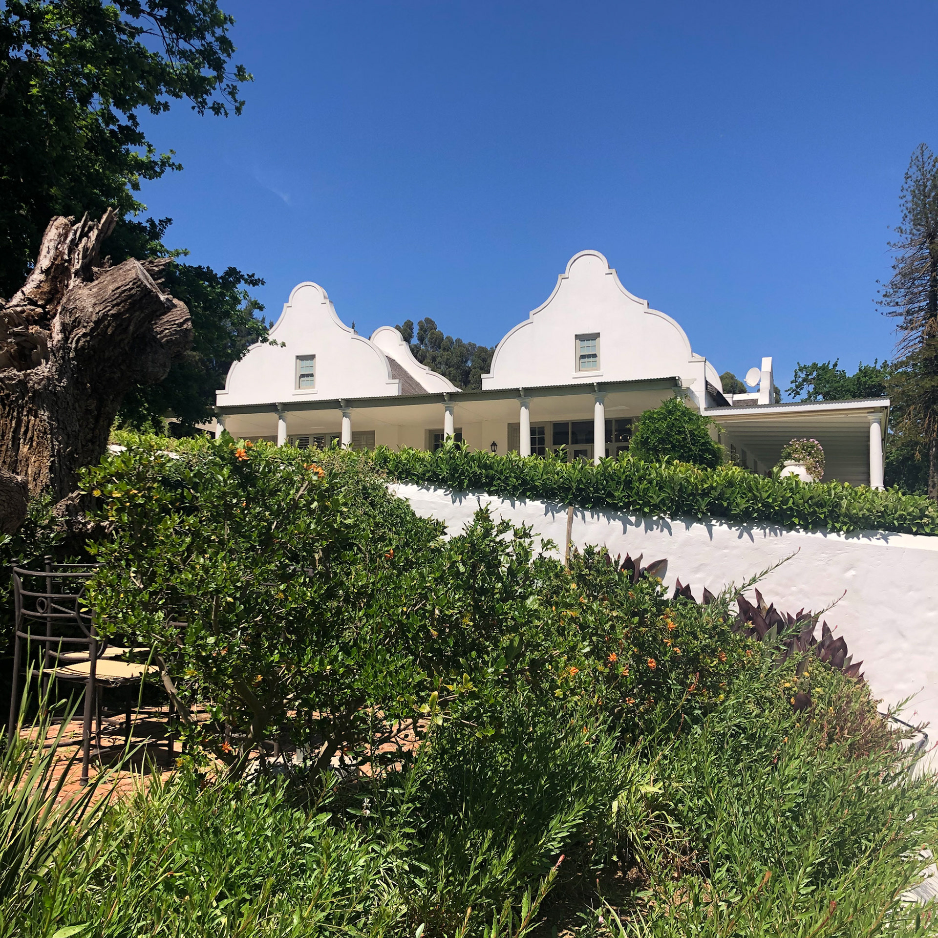 Grand Dedale