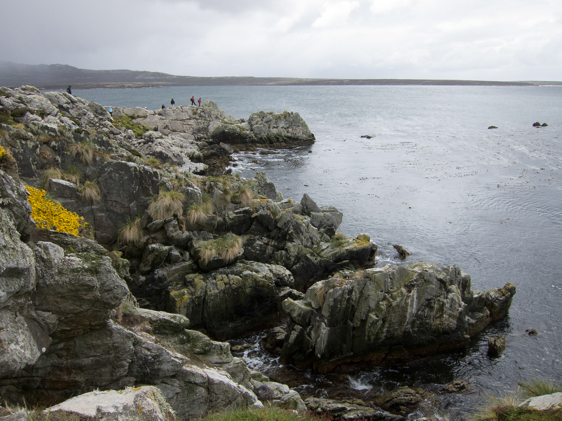 Gypsy Cove near Stanley