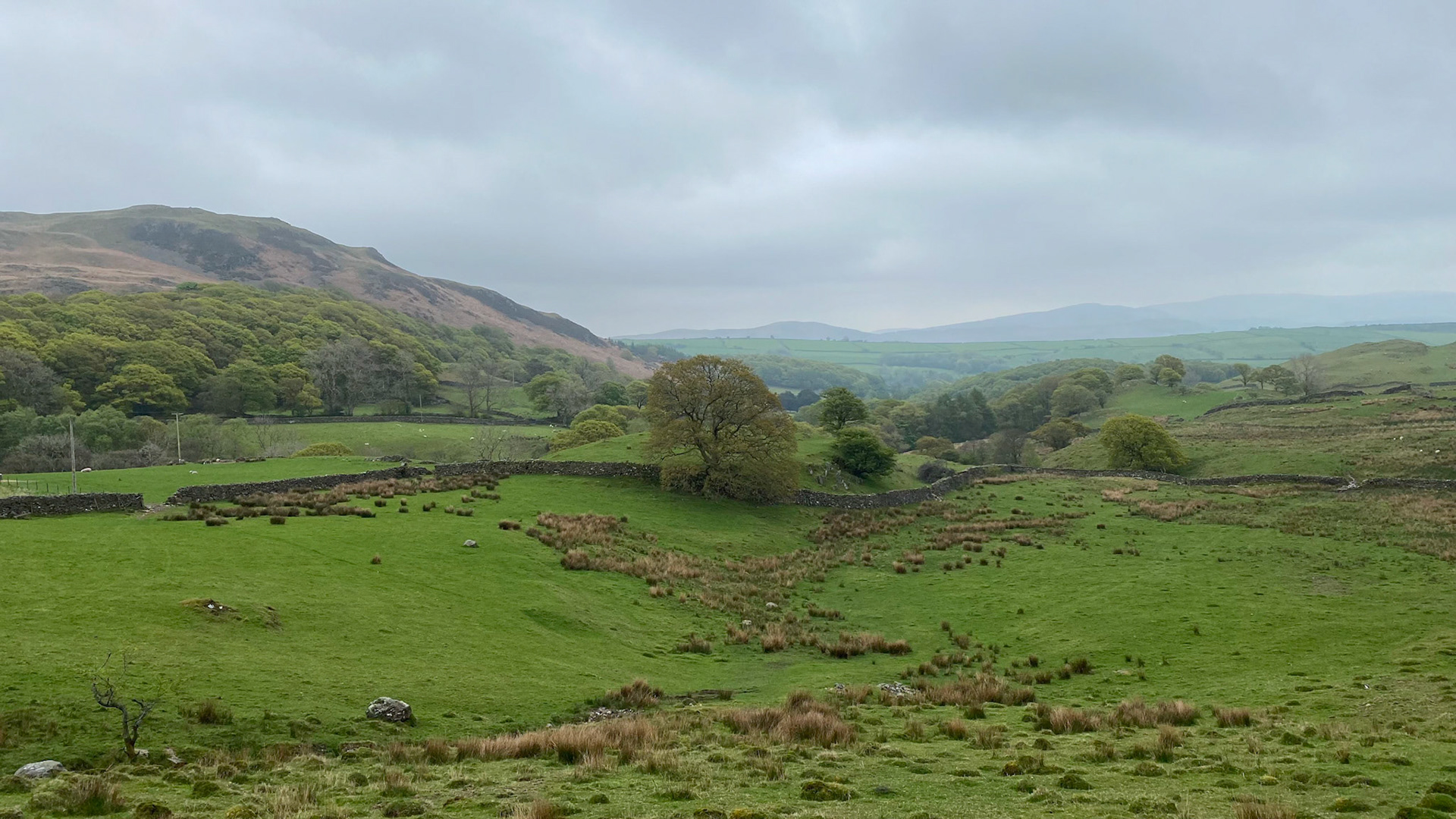 Lunch view, Dunnerdale Fells hike