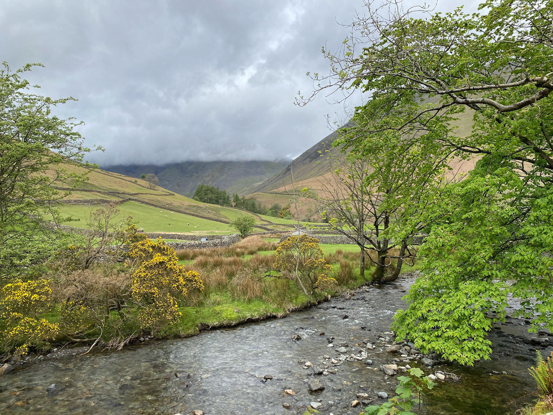 Mosedale