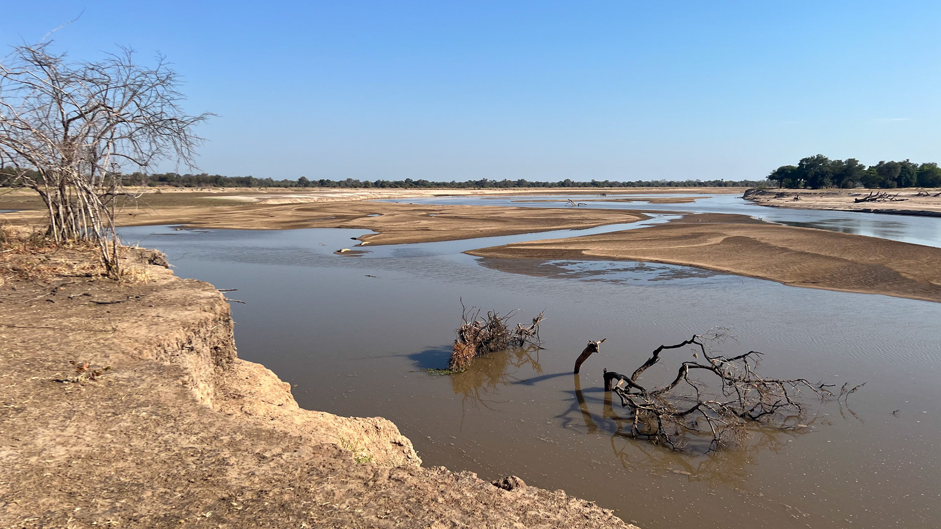 Luangwa river
