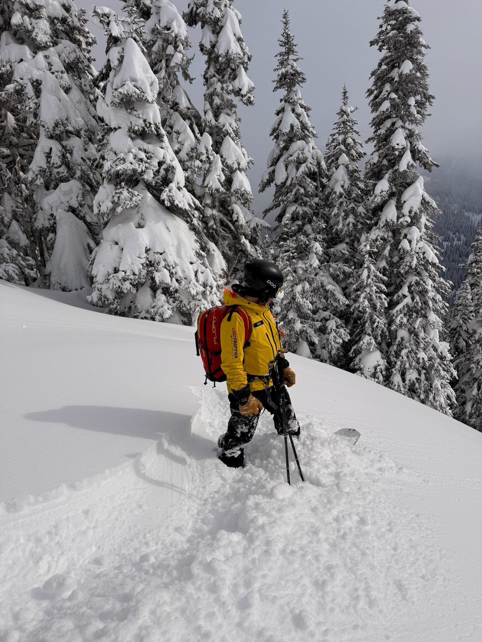 One of our guides