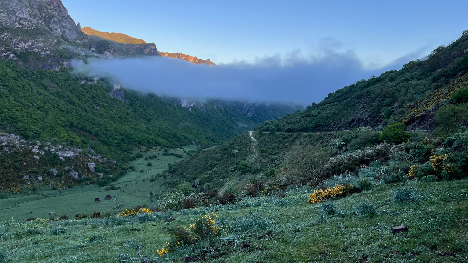 Early morning in the Saliencia valley