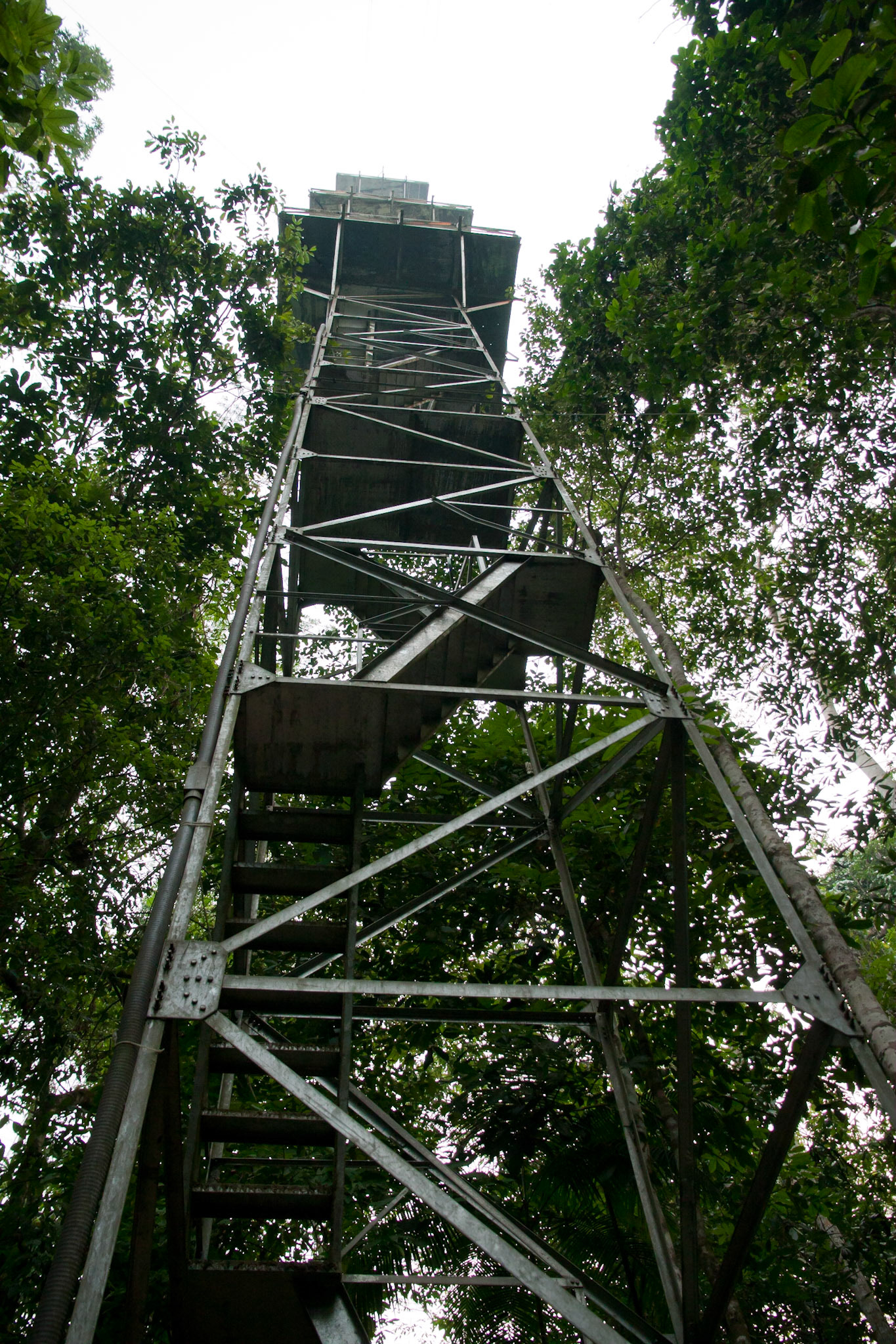 The tower at Cristalino Jungle Lodge