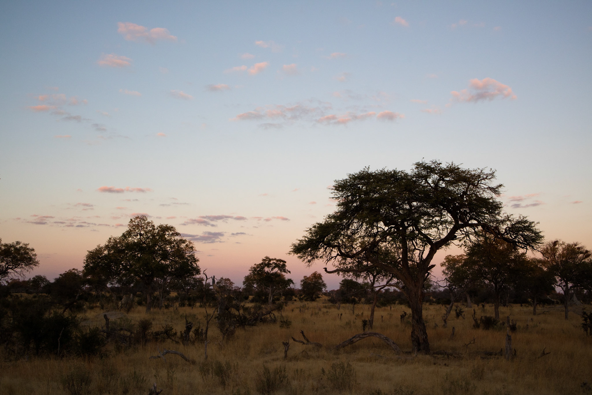 Selinda reserve