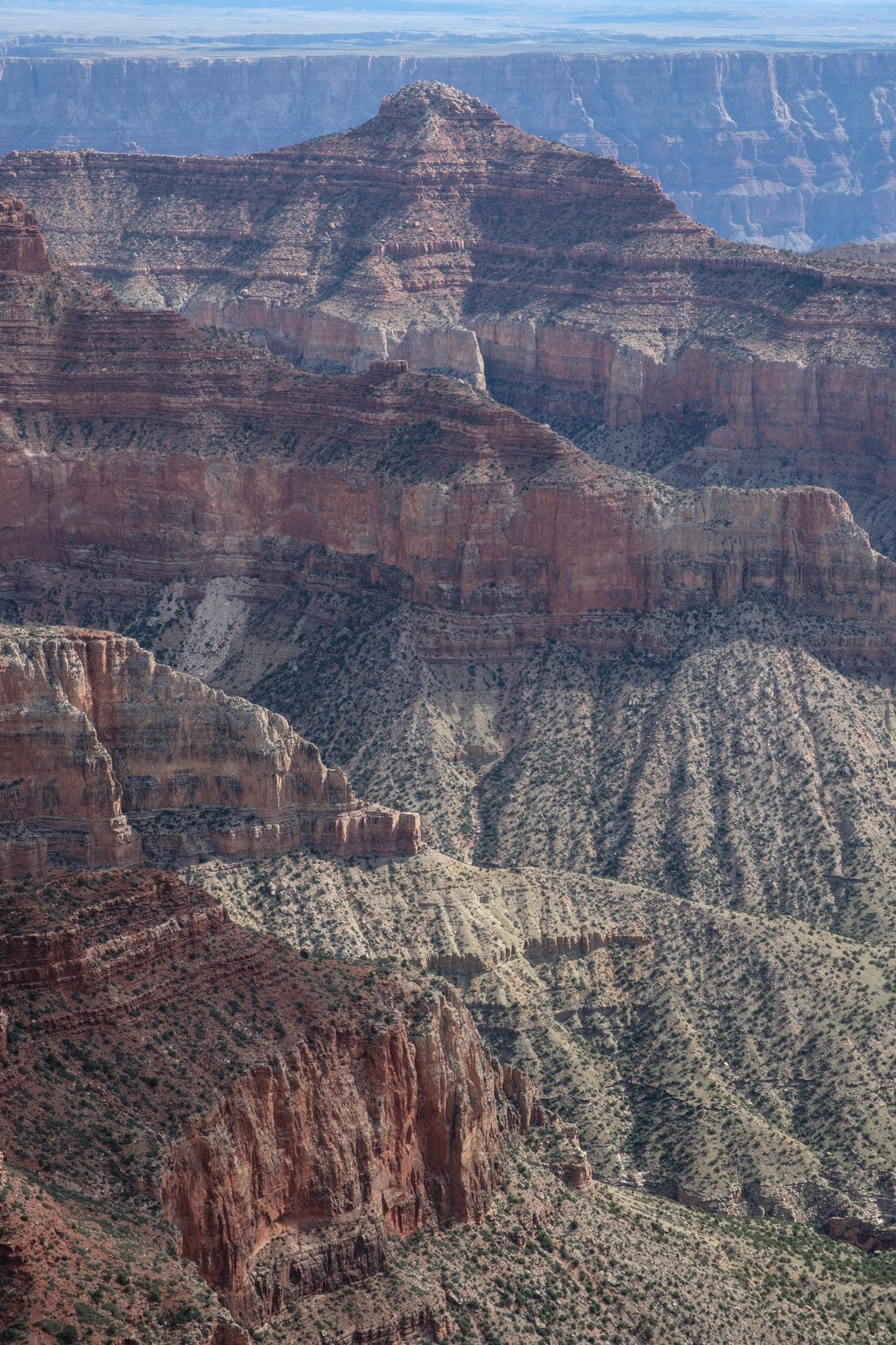 View from trail to Angels Window