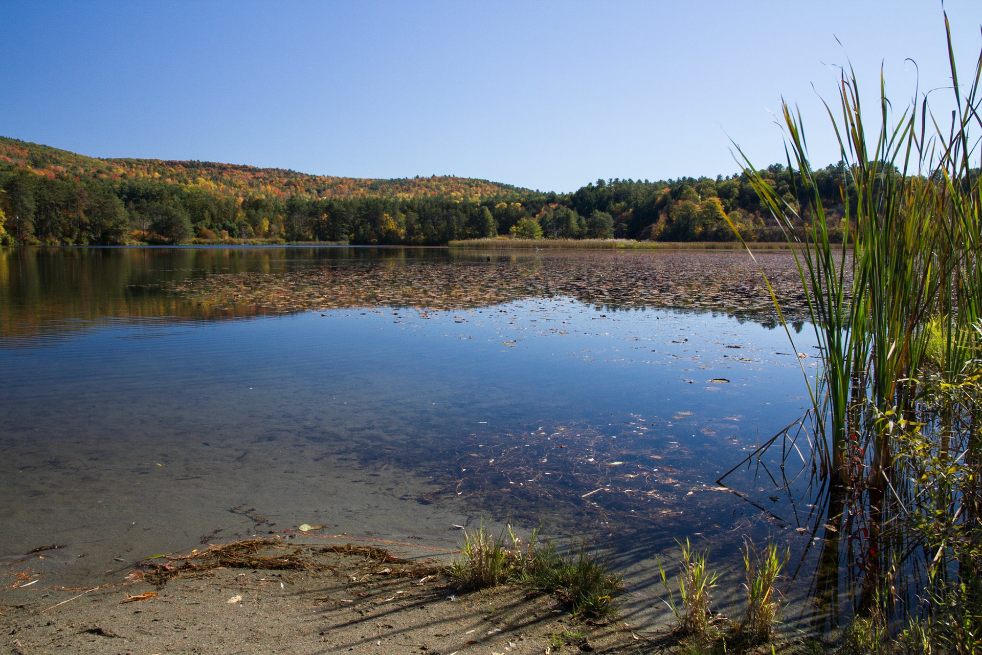 Dewey's Mill Pond