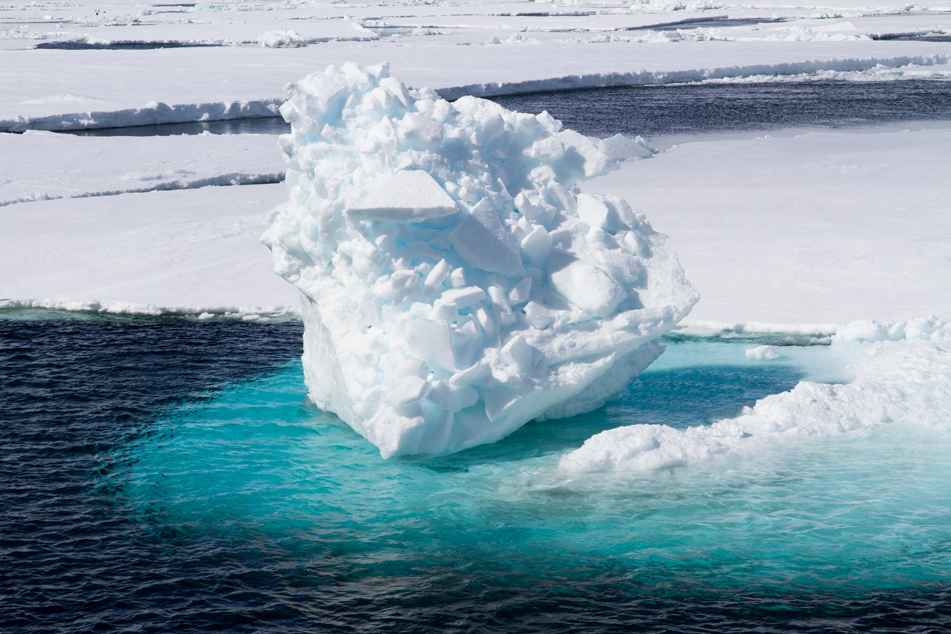Sea ice
