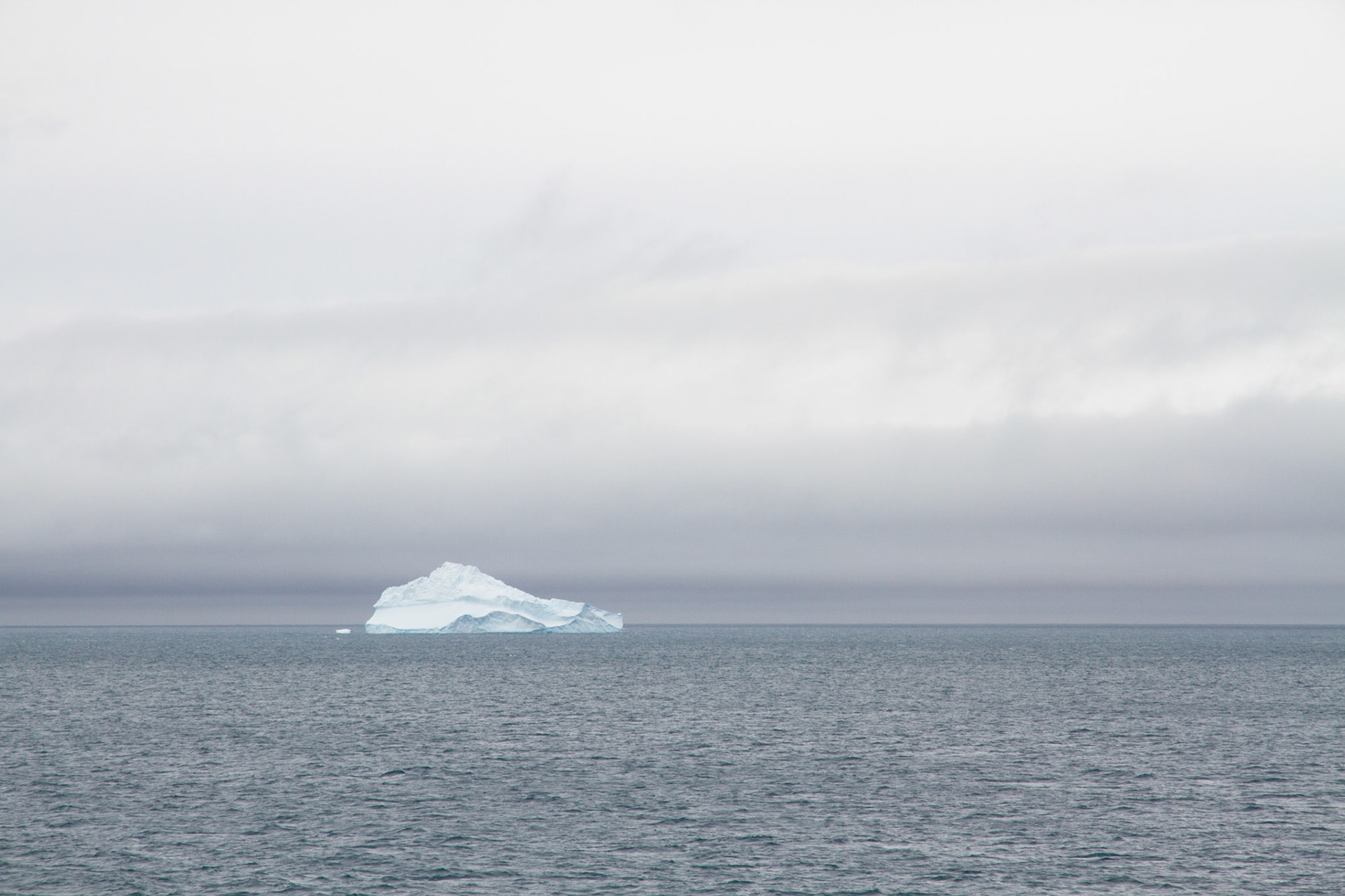 First iceberg!