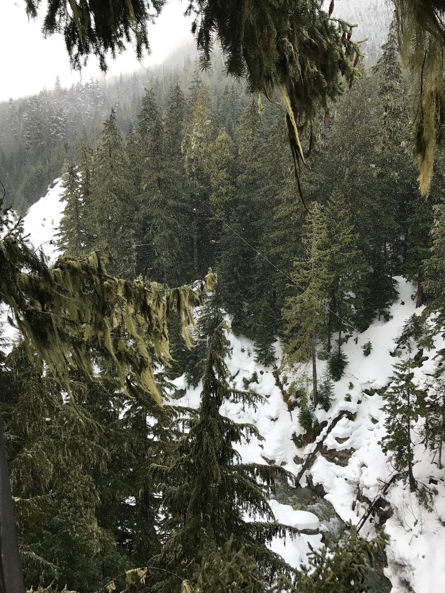 View over the Fitzsimmons Creek from Ziptrek