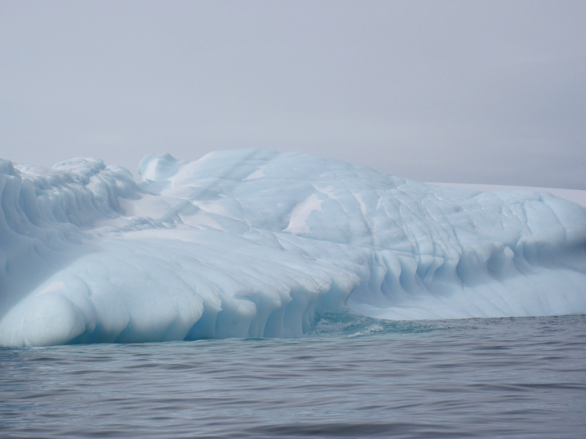 Iceberg