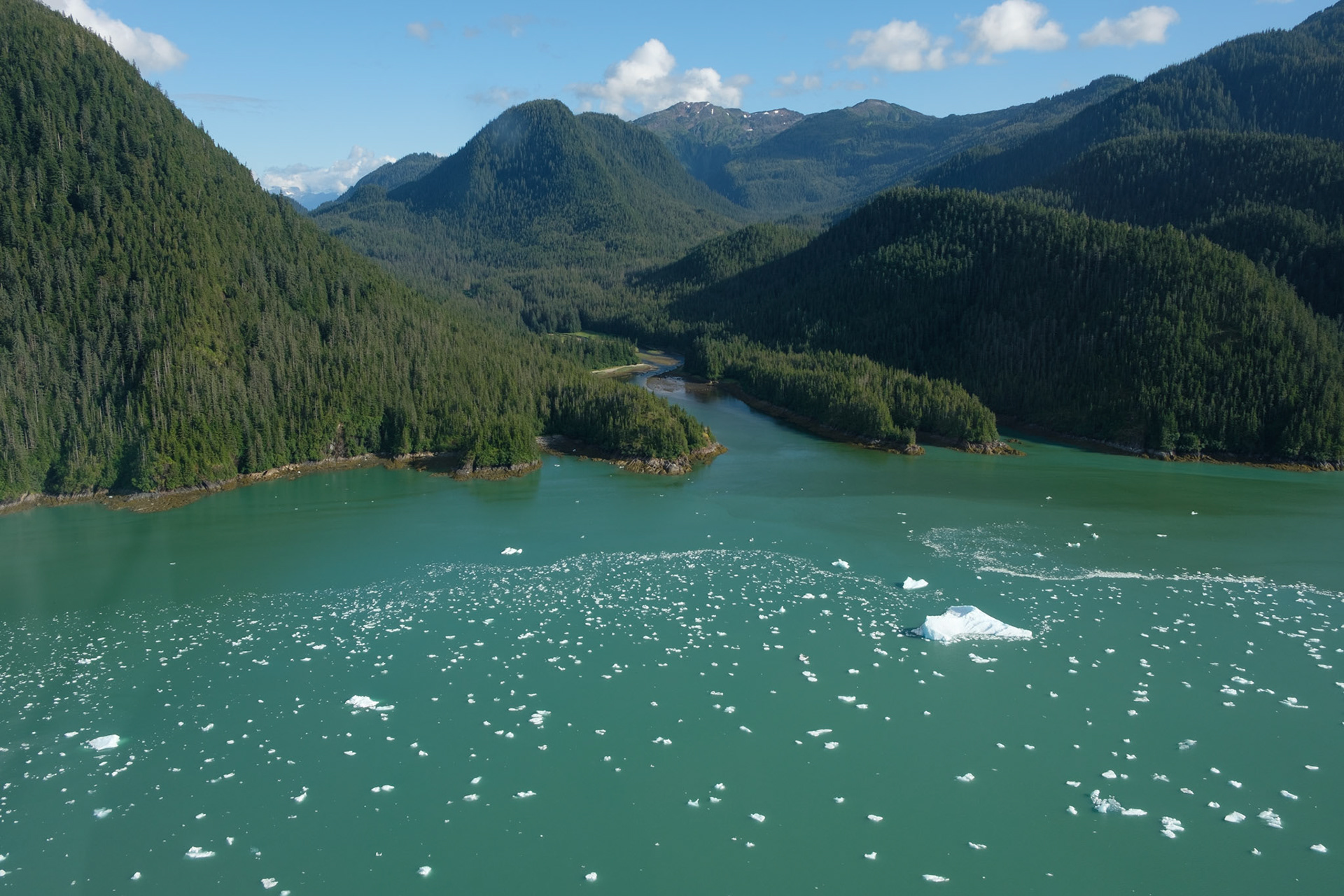 LeConte Bay