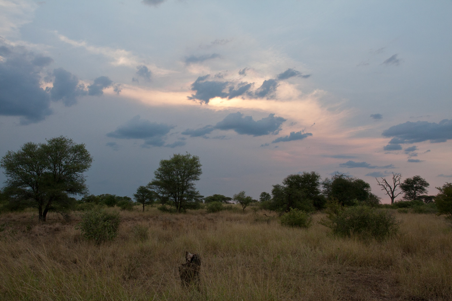 Clouds gathering