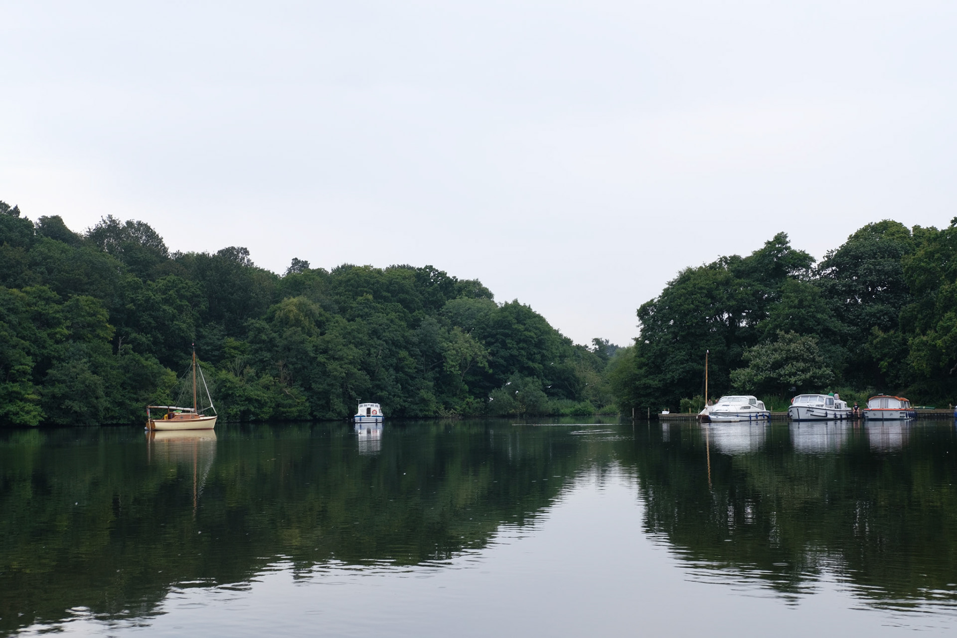 Salhouse Broad