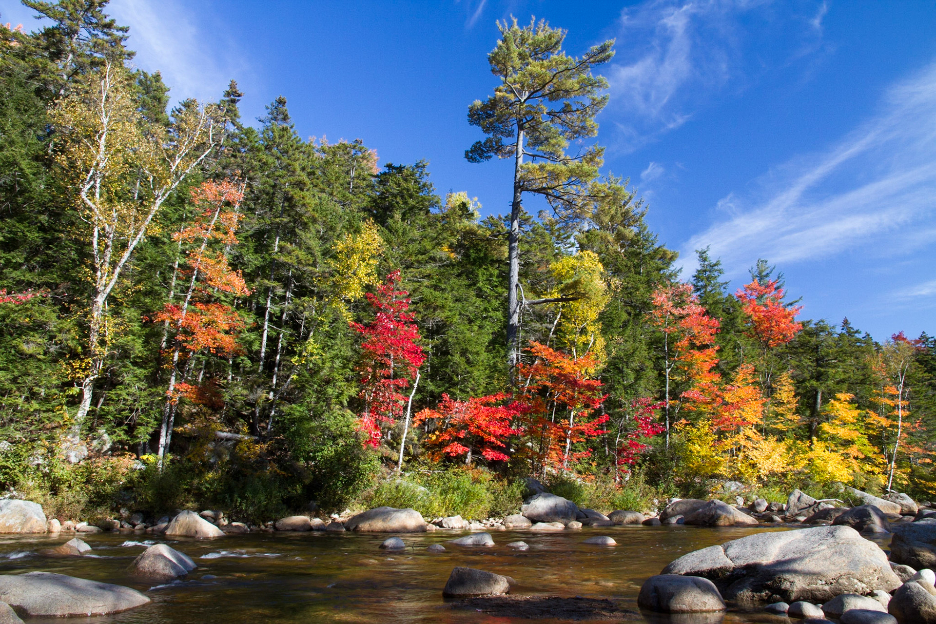 Along the Kancamagus Highway