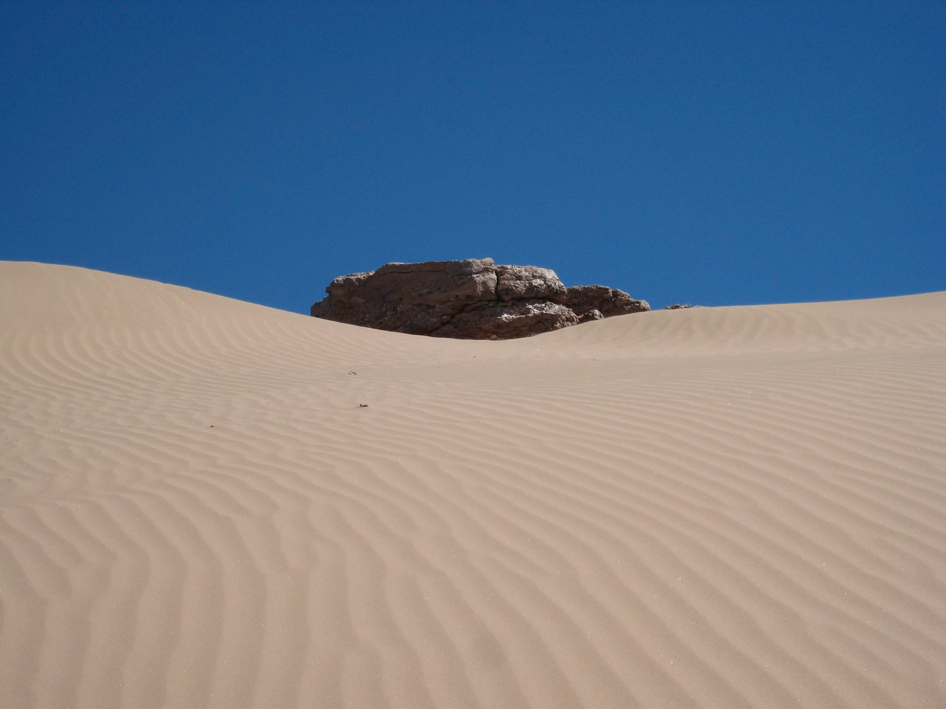 Sand dune, Atacama Desert