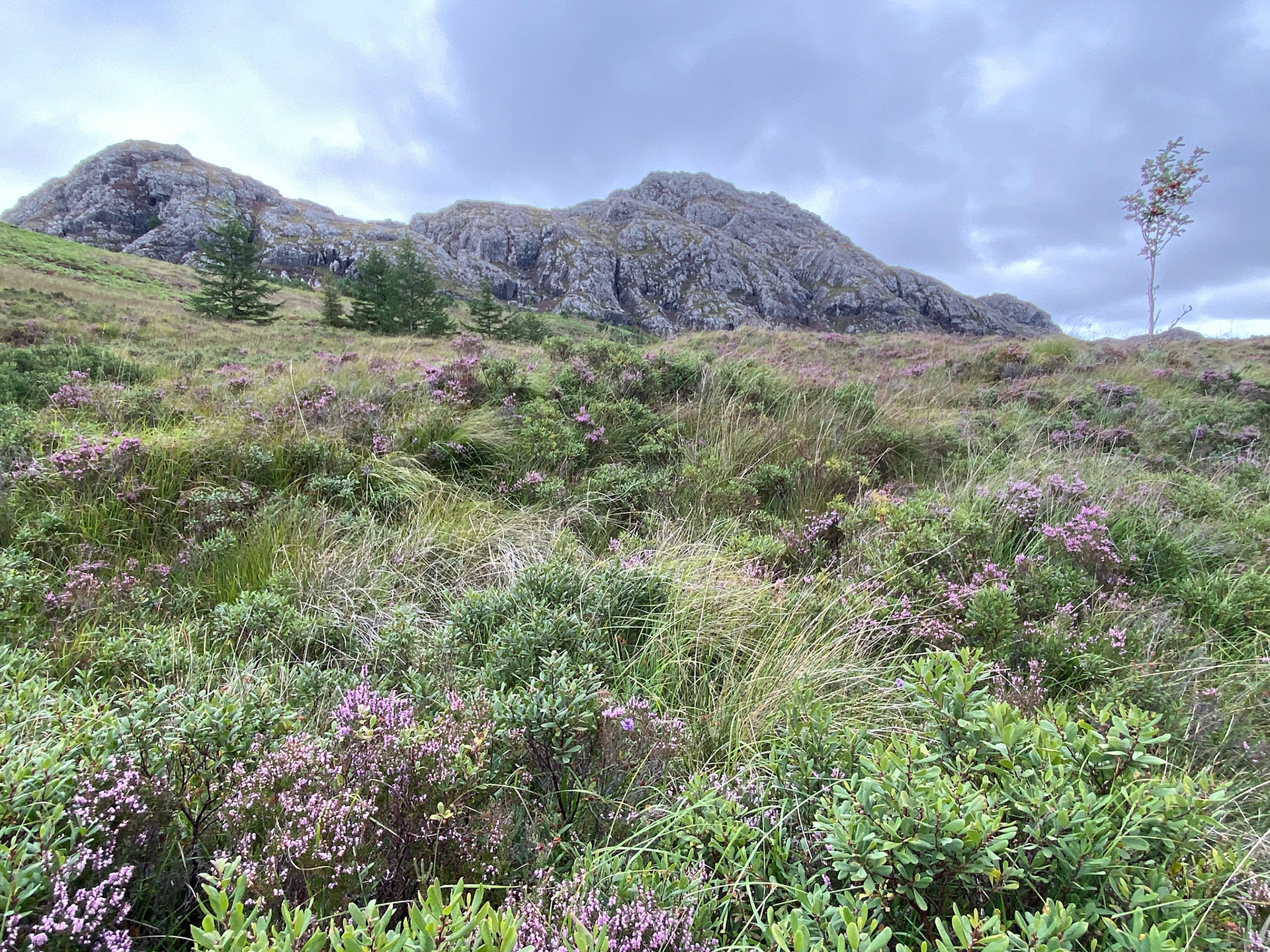 View above Flowerdale Glen, Gairloch