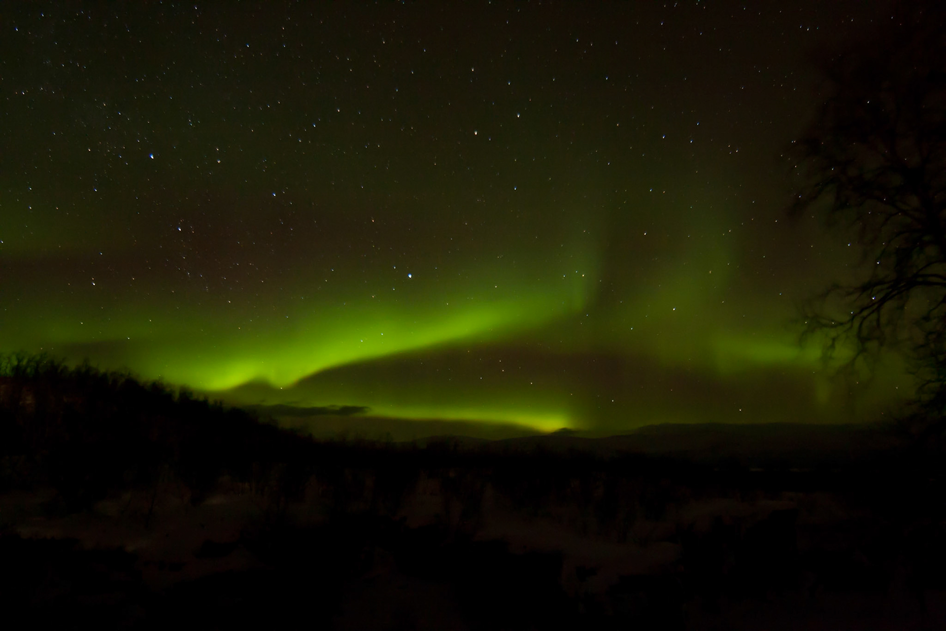 Northern Lights at Abisko