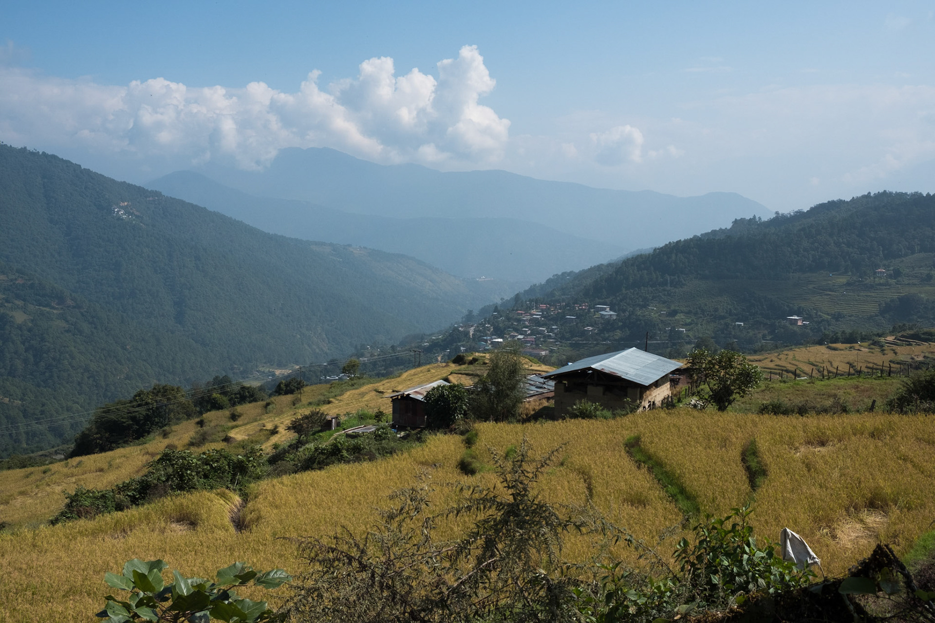 Looking down into Punakha valley