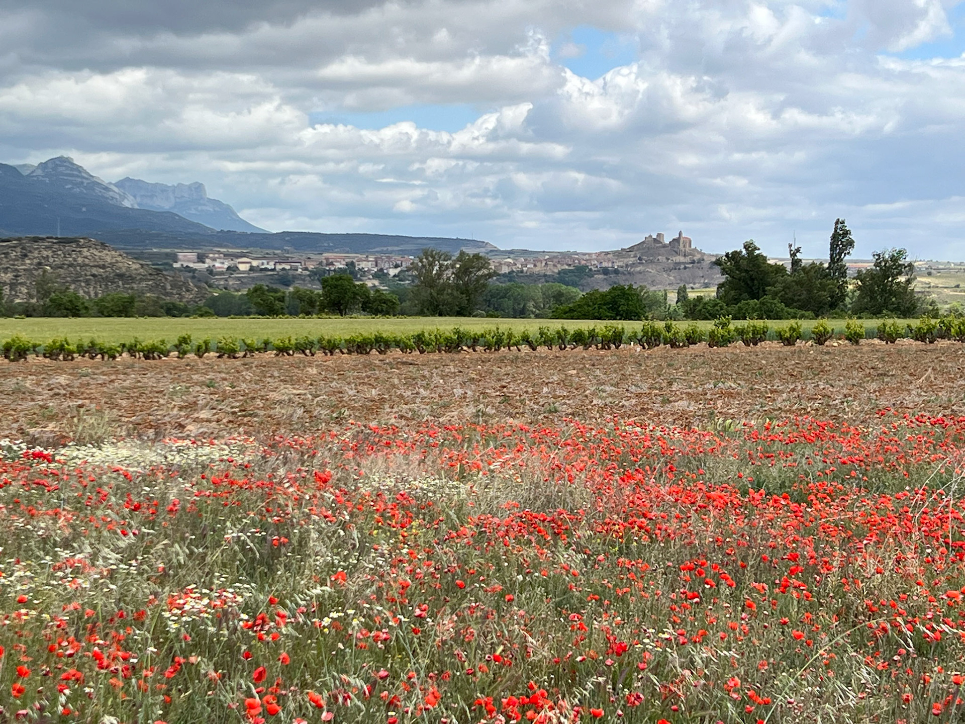 Near Briones