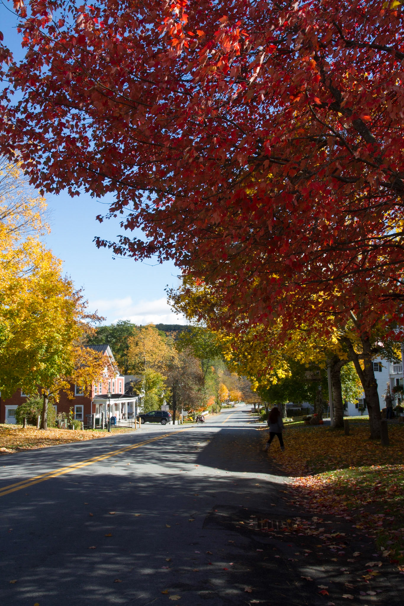 Grafton