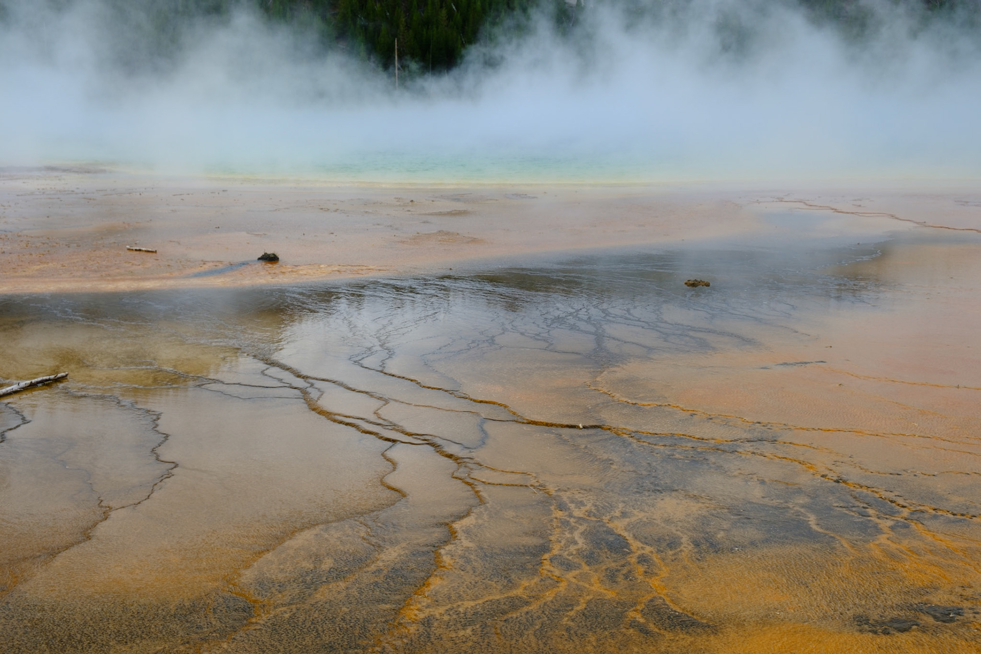 Steam rising from Grand Prismatic Spring, Yellowstone
