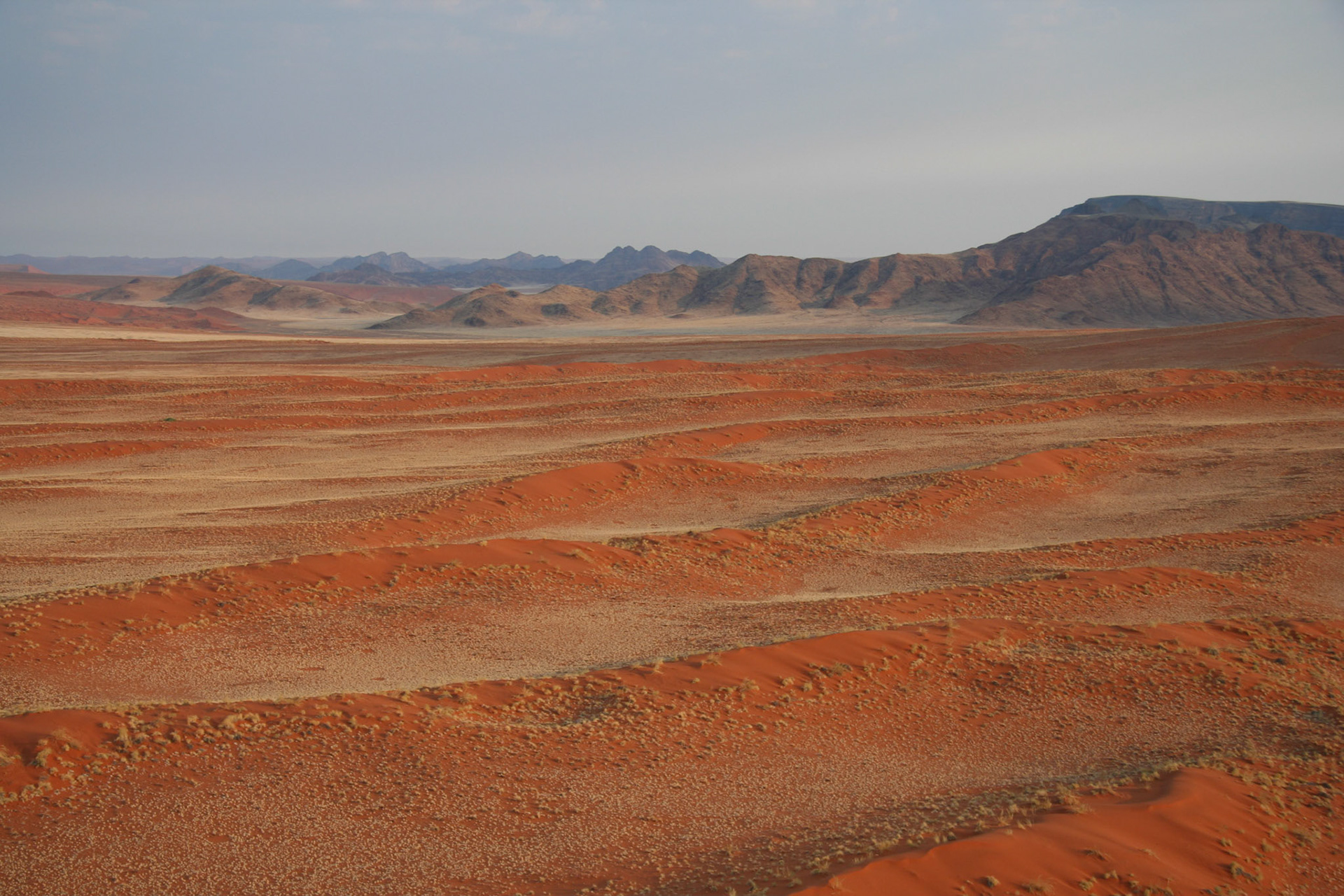 View over the dunes in the early morning sun, Namib Desert