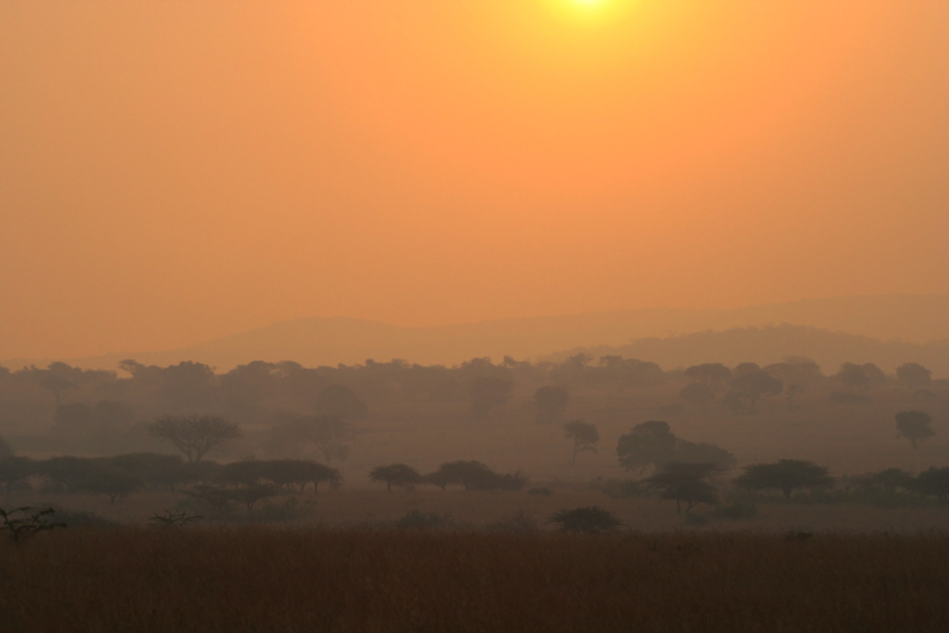 Sunset in a smoke filled sky, Phinda game reserve