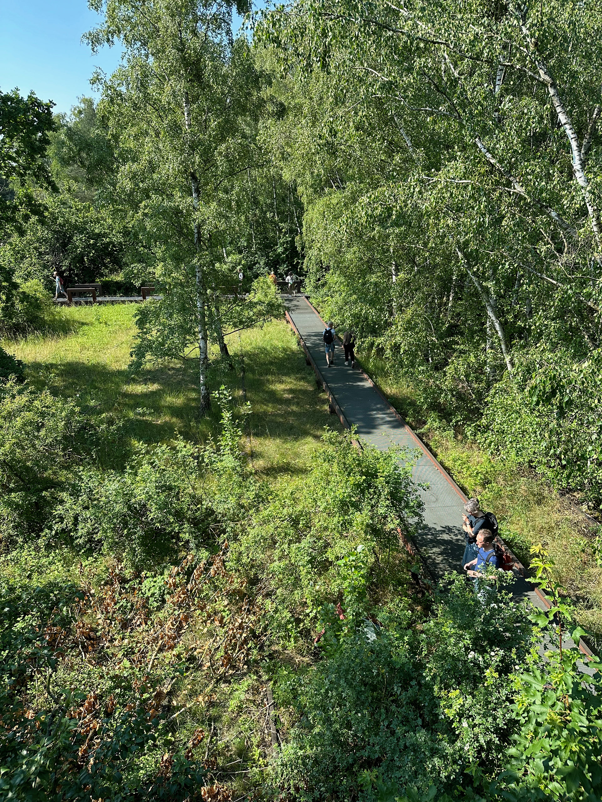 Naturpark Schöneberger Südgelände
