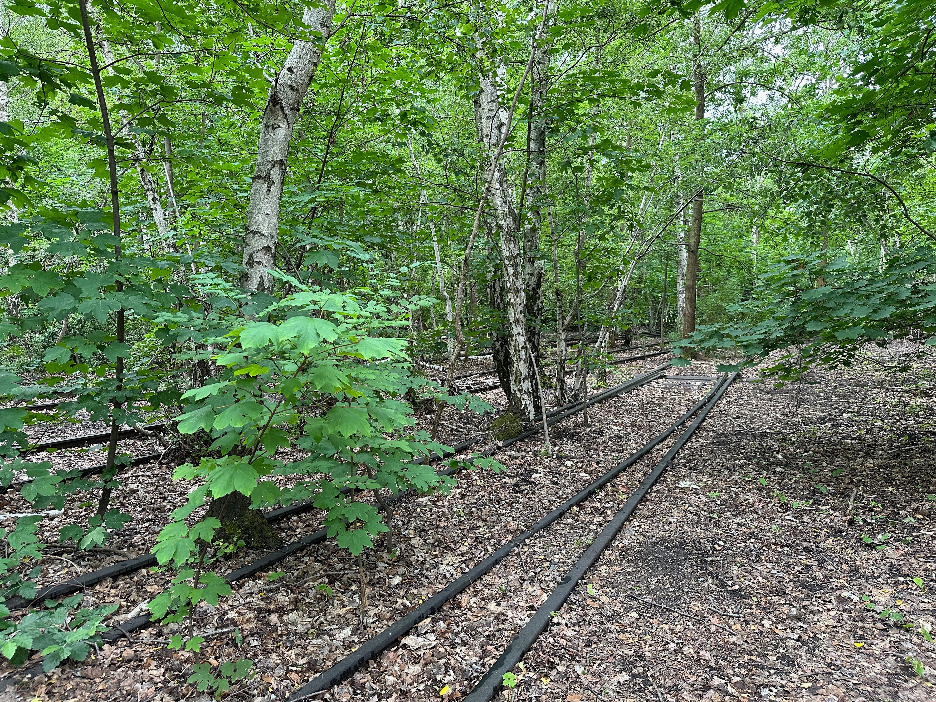 Park am Gleisdreieck