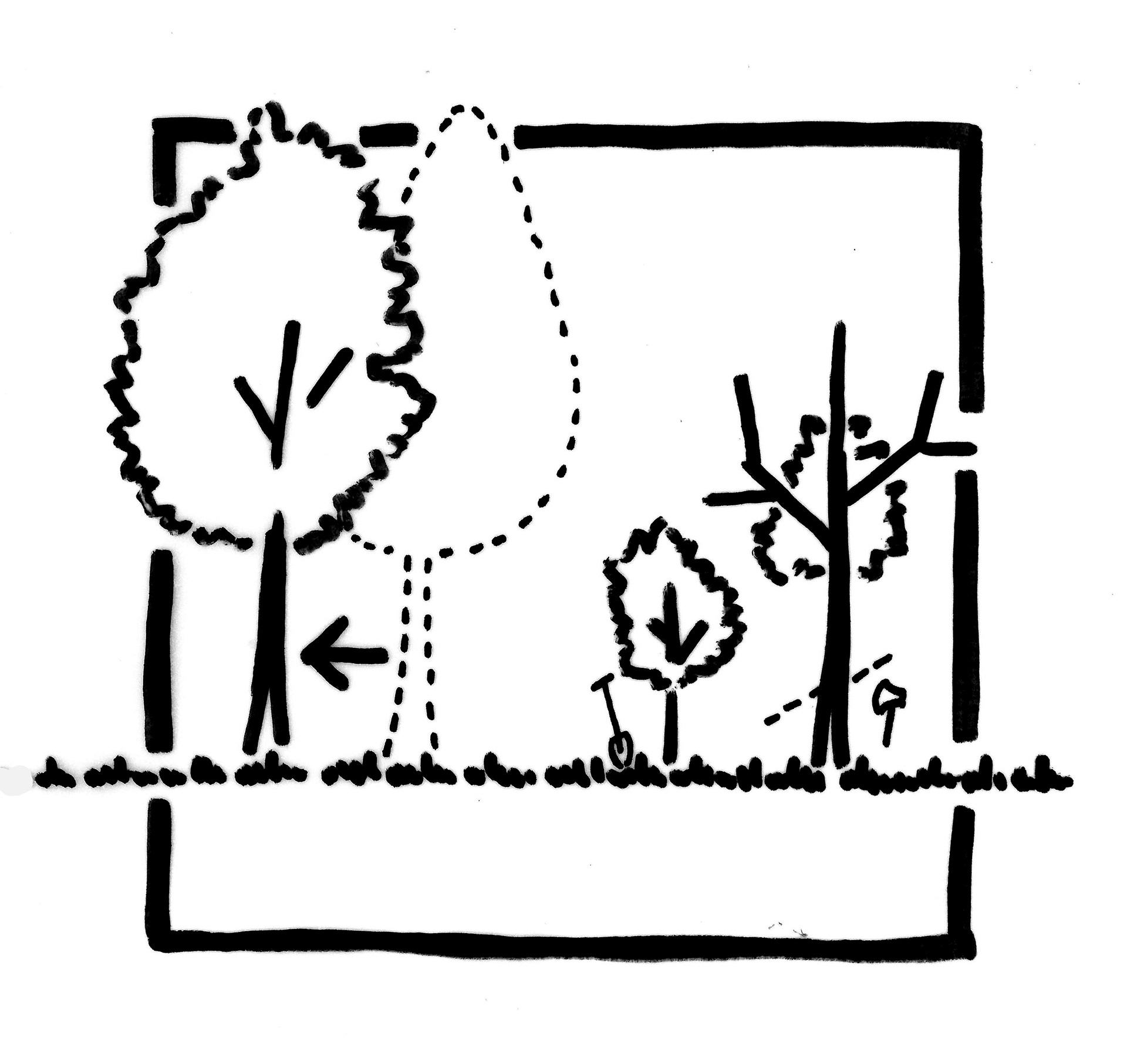 Bomen verplanten of kappen