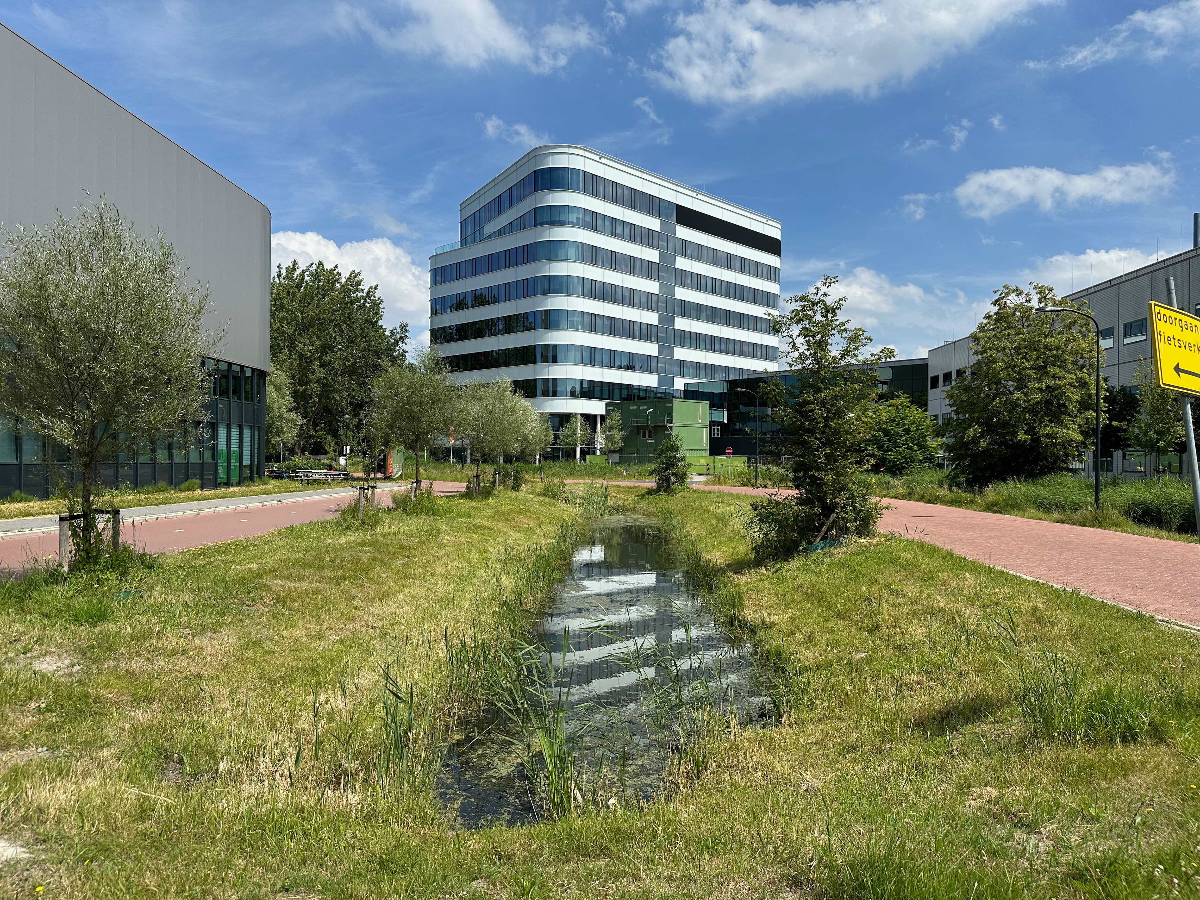 Juni 2024: Natuurvriendelijke oevers bij de Zernikedreef