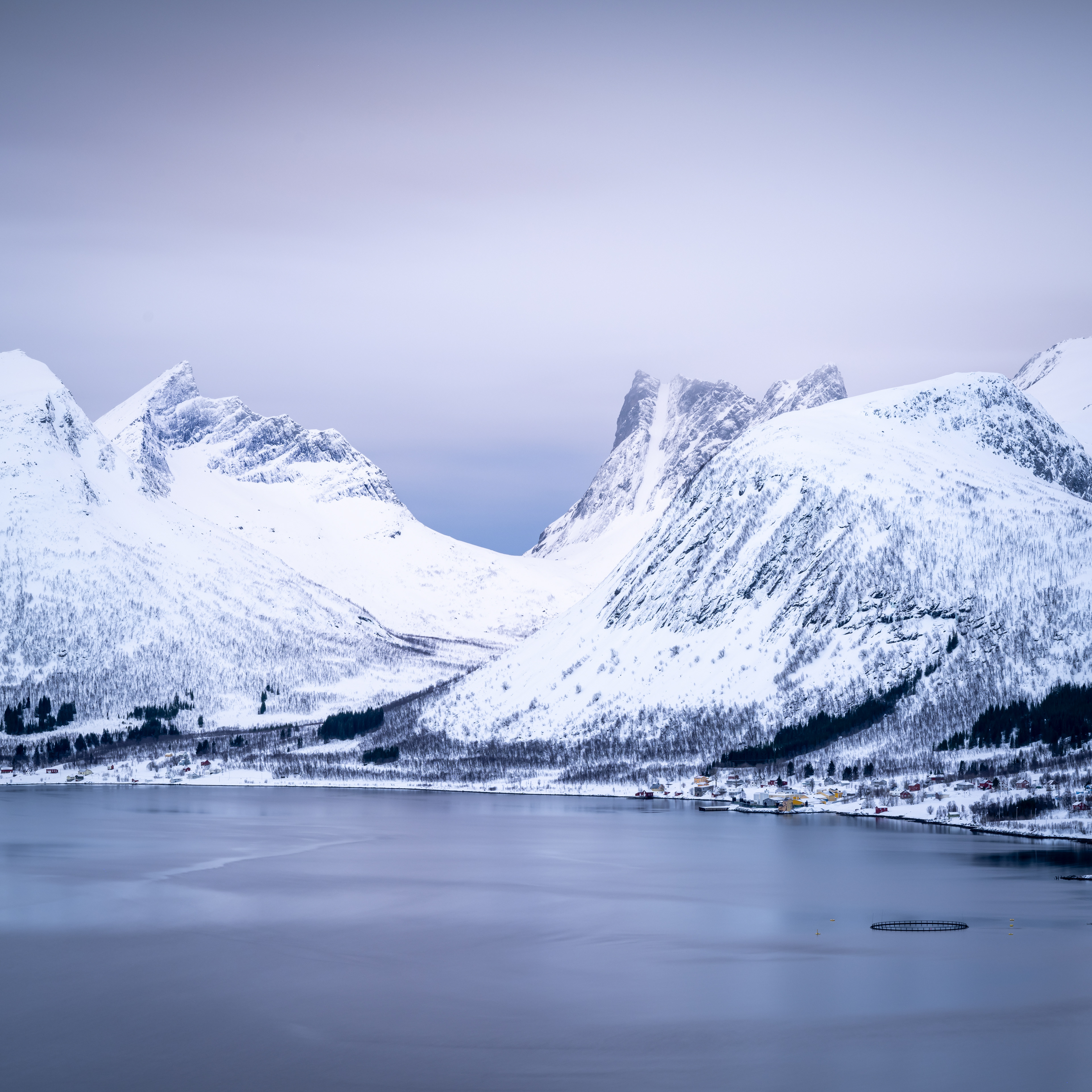 "Draw outside the lines!  Make the sky purple instead of blue!  That's what it looks like to dreamers!"  Viola Shipman