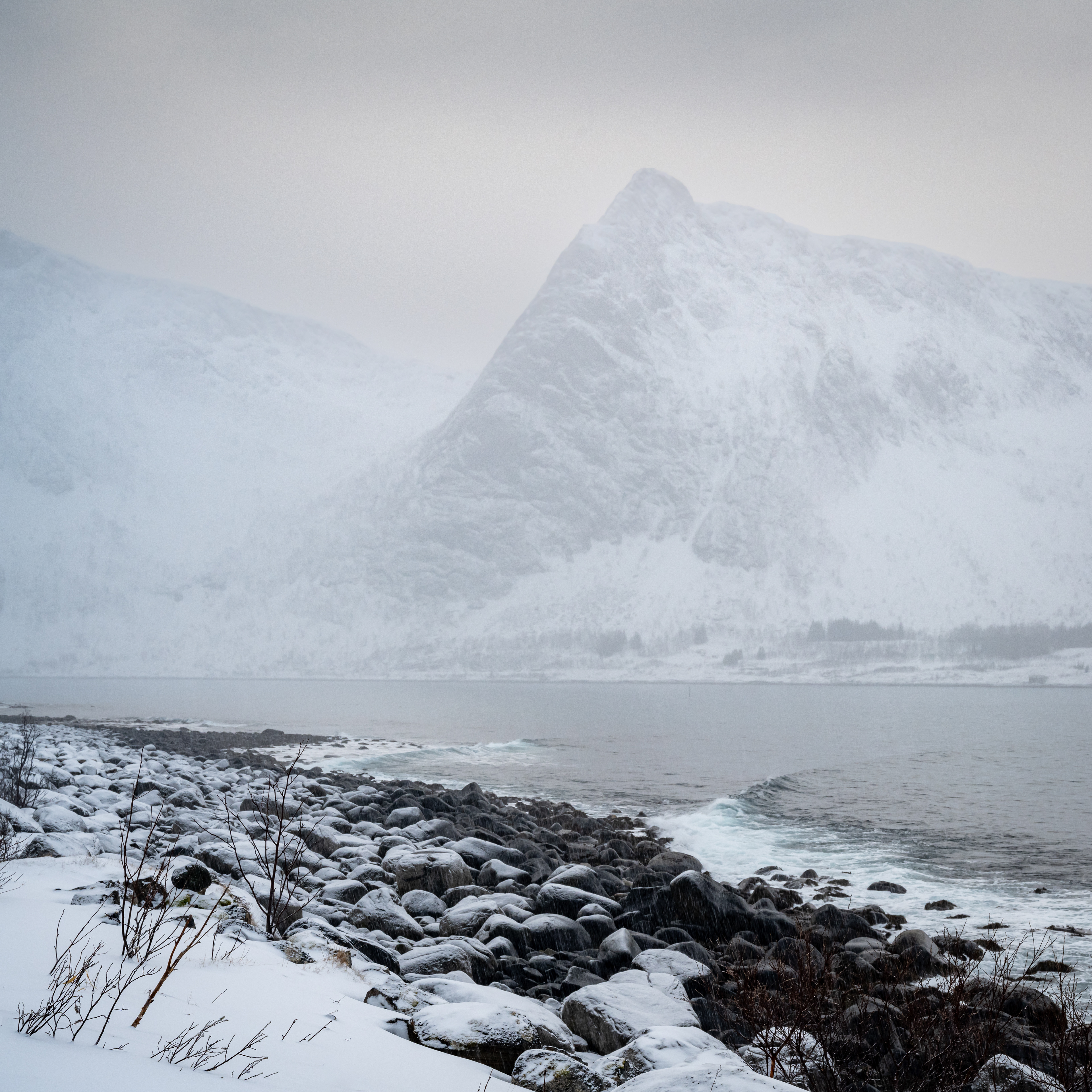 "There are two kinds of light - the glow that illuminates, and the glare that obscures."  James Thurber