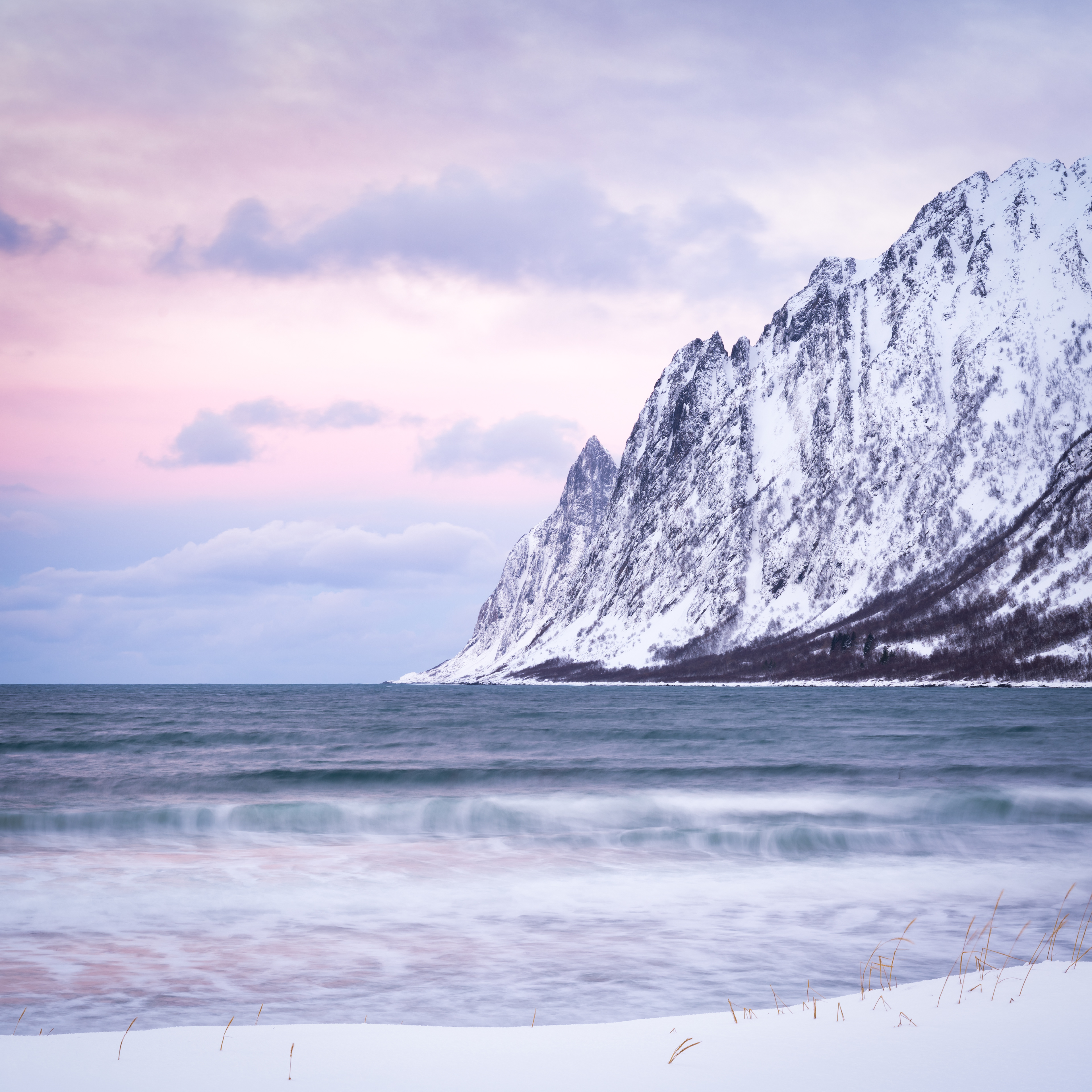 "In the right light, at the right time, everything is extraordinary."  Aaron Rose