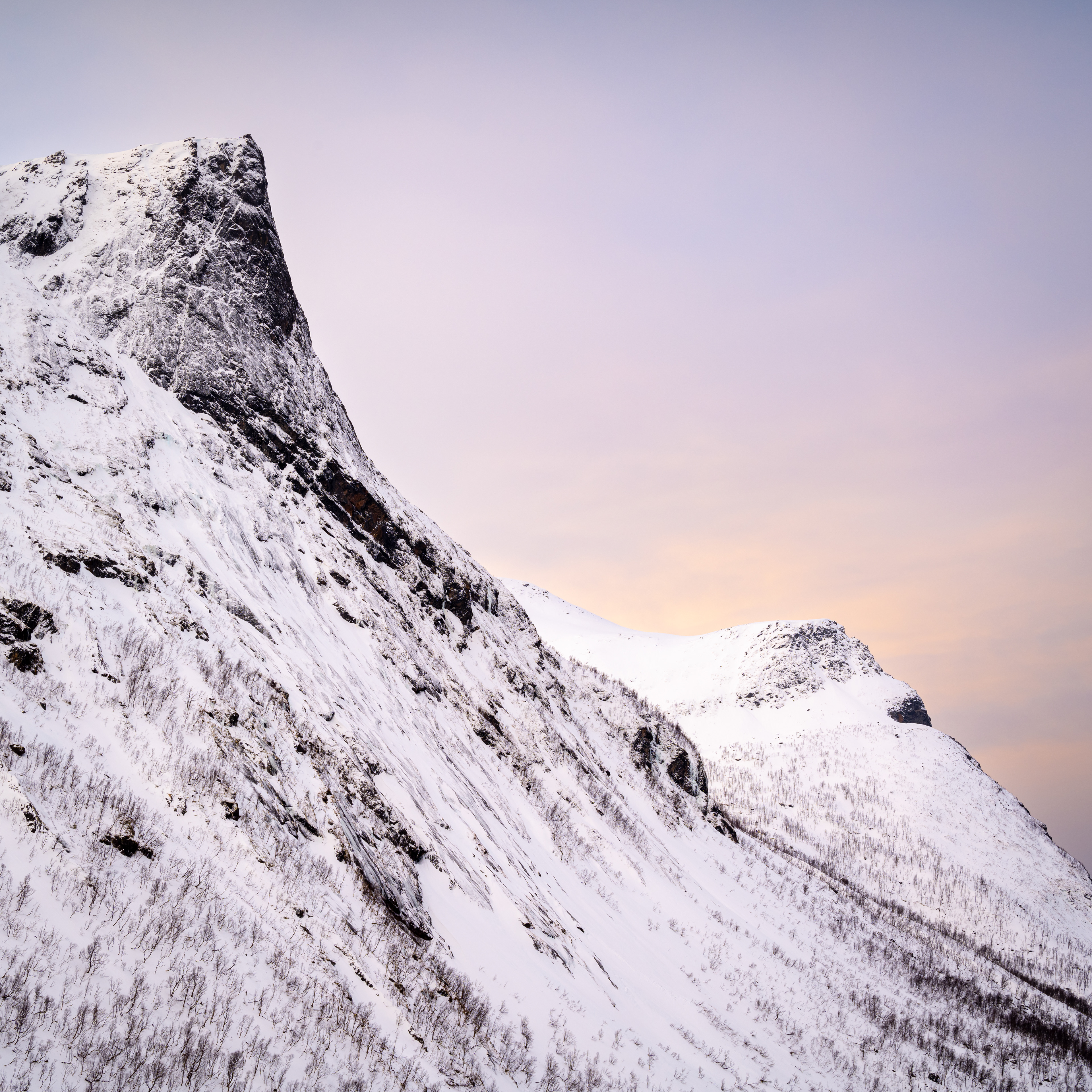"Every now and then I sit and watch the sun rise to remind myself how it's done - peacefully, steadily, warmly and in beautiful colour."  Richelle E. Goodrich