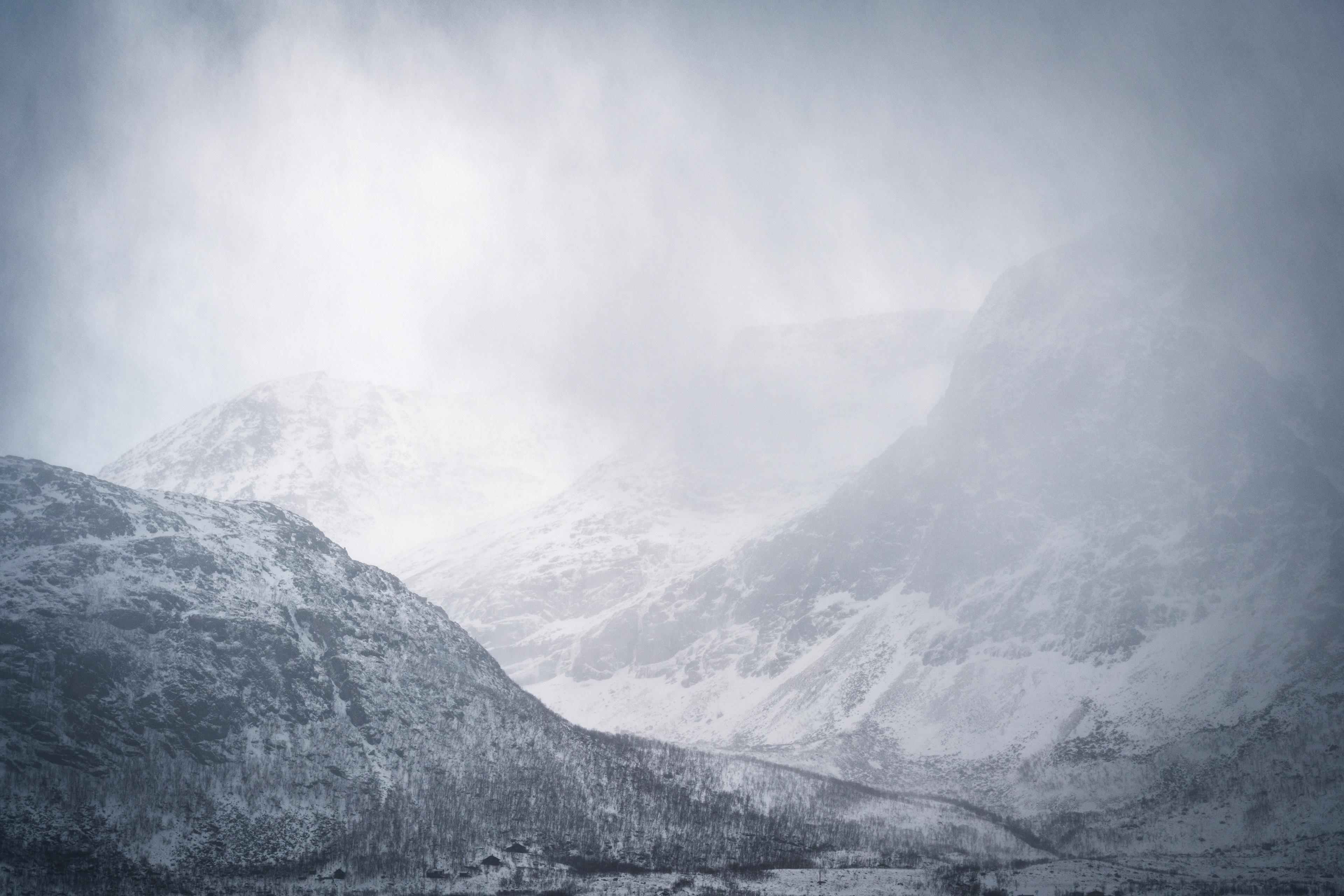 "The dark and the light, they exist side by side.  Sometimes overlapping, one explaining the other.  The darkened path is as illuminated as the lightened..."  Raven Davis