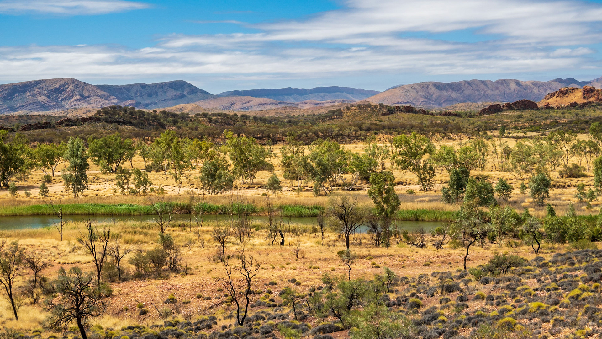 Overlooking Finke River, West MacDonnell Ranges, NT