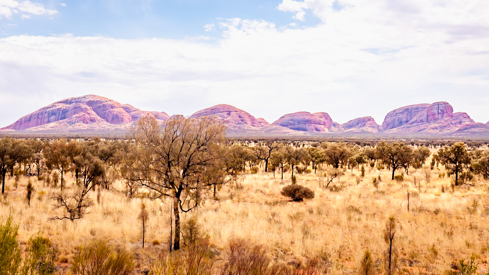 Kata Tjuta, Northern Territory