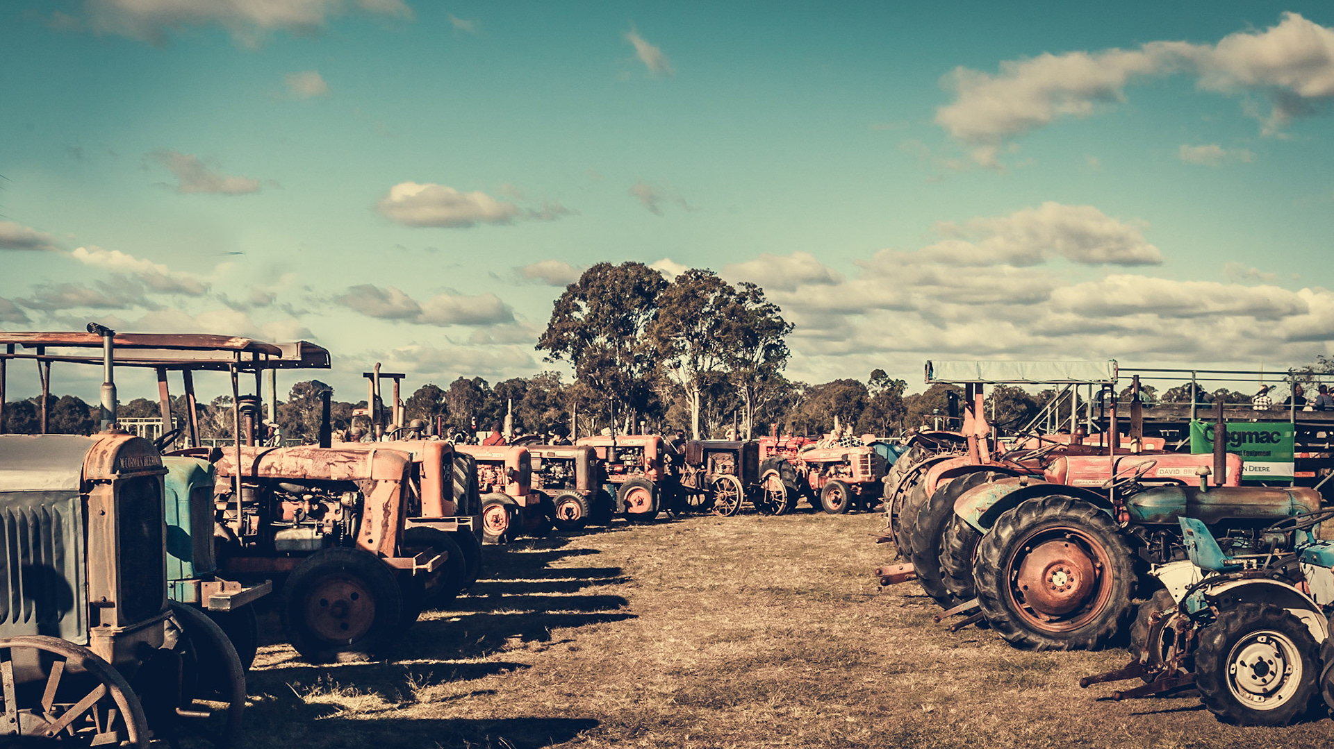 Casino Heavy Horse and Horsepower Show 2015